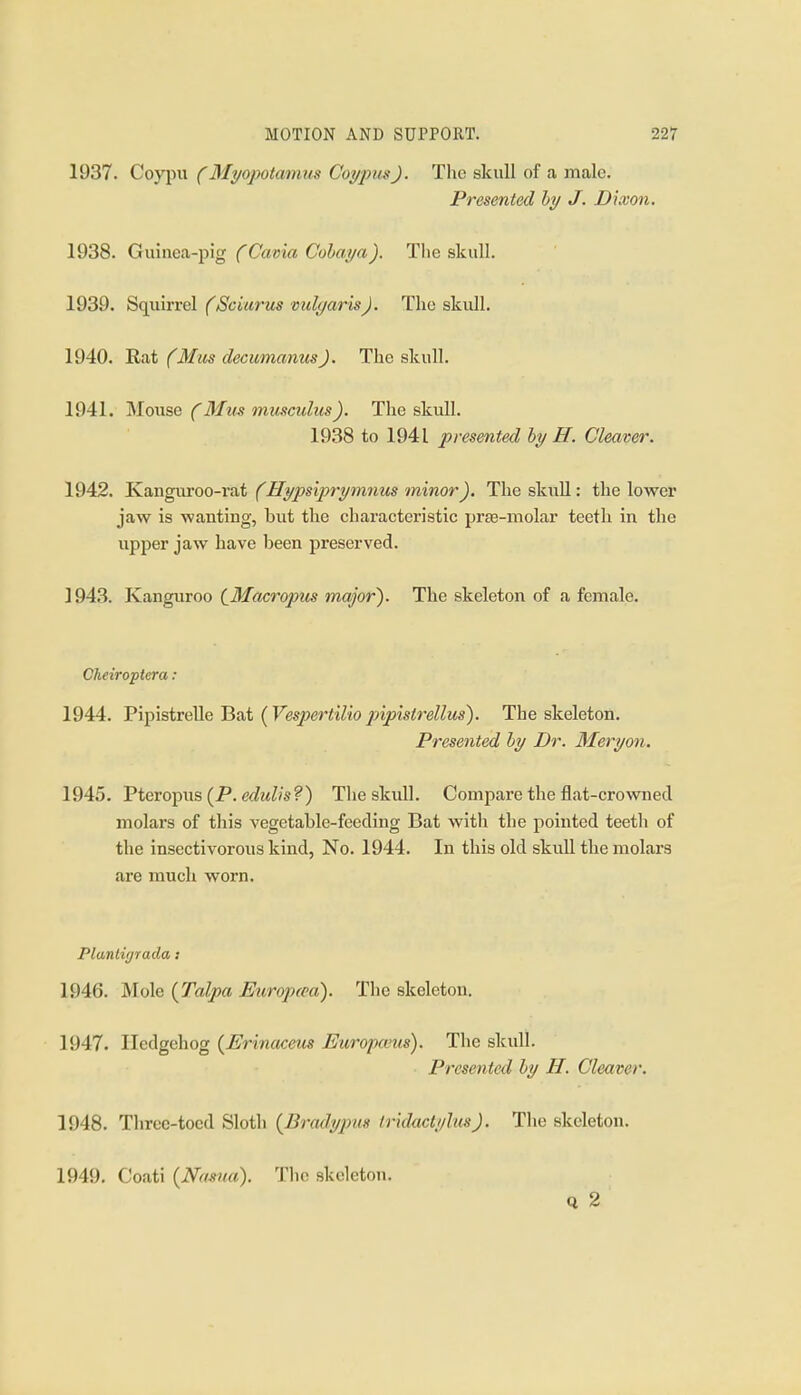 1937. Coypu (Myopotamus CoypusJ. The skull of a male. Presented by J. Dixon. 1938. Giui\ea-)^ig CCavia Cobaya). Tlie skull. 1939. Squirrel fSciurus vuly arts J. The skull. 1940. Rat (Mm decumanusj. The skull. 1941. Mouse CMus miisculus). The skull. 1938 to 1941 presented by H. Cleaver. 1942. Ivanguroo-rat (Hypsiprymnus minor). The skull: the lower jaw is wanting, but the characteristic pr«-molar teeth in the upper jaw have been preserved. 1943. Kanguroo (^Blacropus nfiajor). The skeleton of a female. Cheiroptera : 1944. FipistreUe Bat (Vespertilio pipistrellus). The skeleton. Presented by Dr. Meryon. 1945. Pteropus (P. edulis?) The skull. Compare the flat-crowned molars of this vegetable-feeding Bat with the pointed teeth of the insectivorous kind, No. 1944. In this old skull the molars are much worn. Plantigrada ; 1946. Mole {Talpa Europcea). The skeleton, 1947. Hedgehog {Erinctcem Europaius). The skull. Presented by H. Cleaver. 1948. Threc-tocd Sloth {Bradypm Irklactylus). The skeleton. 1949. Coati {Nama). Tlic skeleton. Q 2