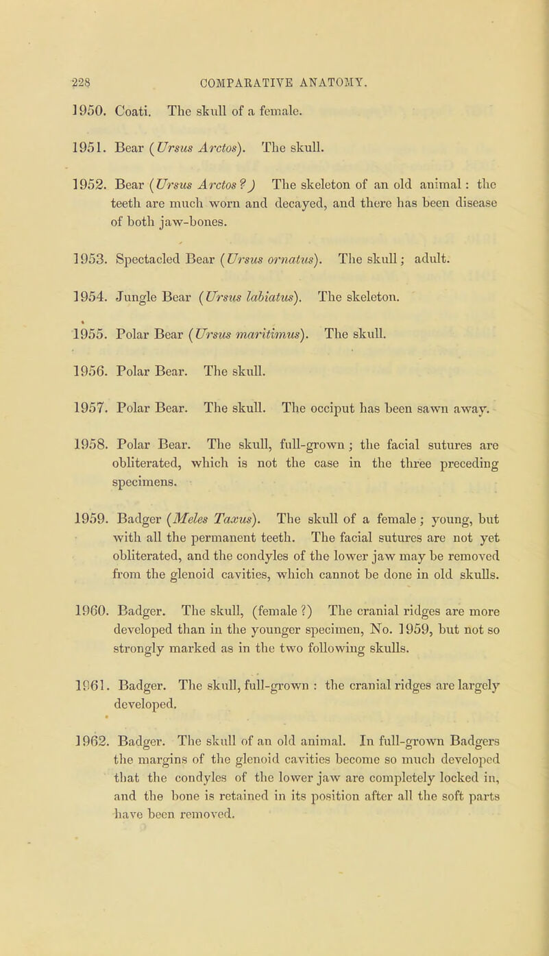 1950. Coati. The skull of a female. 1951. Bear (Ursus Arctos). The skull. 1952. Bear (Ursus Arctos?J The skeleton of an old animal : the teeth are much worn and decayed, and there has been disease of both jaw-bones. 1953. Spectacled Bear (Ursus ornatus). The skull; adult. 1954. Jungle Bear {Ursus lahiatus). The skeleton. « 1955. Polar Bear {Ursus maritwius). The skull. 1956. Polar Bear. The skull. 1957. Polar Bear. The skull. The occiput has been sawn away, 1958. Polar Bear. The skull, full-grown; the facial sutures are obliterated, which is not the case in the three preceding specimens. 1959. Badger (Meies Taxus). The skull of a female; young, but with all the permanent teeth. The facial sutures are not yet obliterated, and the condyles of the lower jaw may be removed fit'om the glenoid cavities, which cannot be done in old skulls. 1960. Badger. The skull, (female ?) The cranial ridges are more developed than in the younger specimen. No. 1959, but not so strongly marked as in the two following skulls. 1961. Badger. The skull, full-grown : the cranial ridges are largely developed. 1962. Badger. The skull of an old animal. In full-grown Badgers the margins of the glenoid cavities become so much developed that the condyles of the lower jaw are completely locked in, and the bone is retained in its position after all the soft parts have been removed.