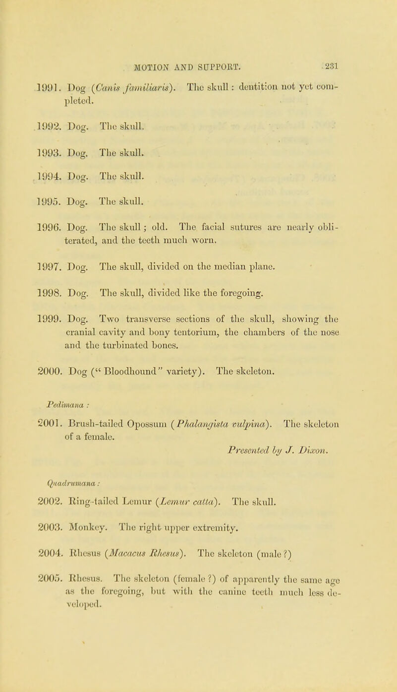 1991. Dog (Canis familiar is). The skull : dontitiou not yet coni- pleteil. .1992. Dog. Tlio skull. 1993. Dog. The skull. , 1994. Dog. The skull. 1995. Dog. The skull. 1996. Dog. The skull; old. The faciiil sutures are nearly obli- terated, and the teeth much worn. 1997. Dog. The skull, divided on the median plane. 1998. Dog. The skull, divided like the foregoing. 1999. Dog. Two transverse sections of the skull, sliowing the cranial cavity and bony tentorium, the chambers of the nose and the turbinated bones. 2000. Dog ( Bloodhound variety). The skeleton. Pedimana : 2001. Brush-tailed Opossum (Pkalanr/ista vulpina). The skeleton of a female. Presented hy J. Dixon. Qiiadrumana: 2002. Ring-tailed Lemur {Lemur catta). The sknU. 2003. Monkey. The right upper extremity. 2004. Rhesus (^Macacus Rhesus). The skeleton (male ?) 2005. Rhesus. The skeleton (female ?) of apparently the same age as the foregoing, but with the canine teeth much less de- vel()i)cd.