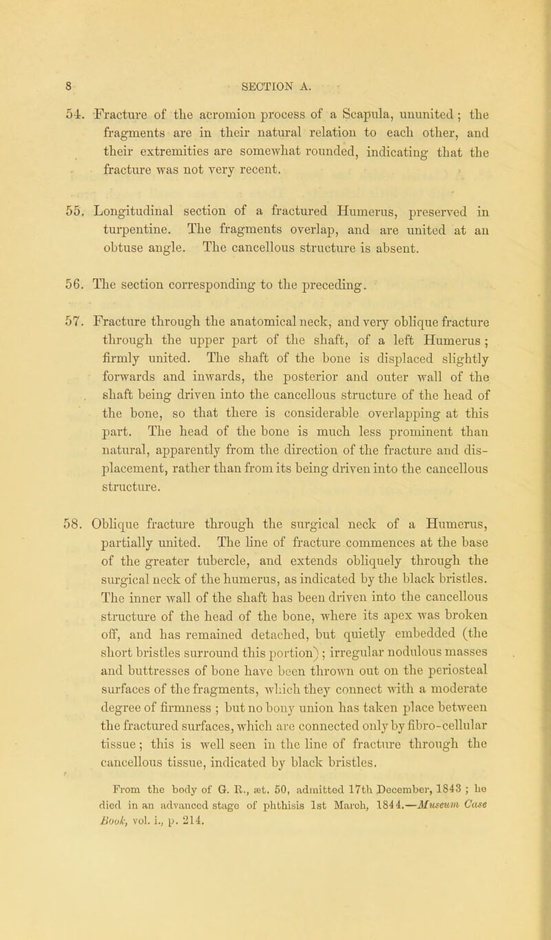54r. Fracture of tlie acromion process of a Scapula, ununited ; tlie fragments are in their natural relation to each other, and their extremities are somewhat rounded, indicating that the fracture was not very recent. 55. Longitudinal section of a fractured Humerus, preserved in turpentine. The fragments overlap, and are united at an obtuse angle. The cancellous structure is absent. 56. The section corresponding to the preceding. 57. Fracture through the anatomical neck, and very oblique fracture through the upper part of the shaft, of a left Humerus ; firmly united. The shaft of the bone is displaced slightly forwards and inwards, the posterior and outer wall of the shaft being driven into the cancellous structure of the head of the bone, so that there is considerable overlapping at this part. The head of the bone is much less prominent than natural, apparently from the direction of the fracture and dis- placement, rather than from its being driven into the cancellous structure. 58. Oblique fracture through the surgical neck of a Humerus, partially united. The Hne of fracture commences at the base of the greater tubercle, and extends obliquely through the surgical neck of the humerus, as indicated by the black bristles. The inner wall of the shaft has been driven into the cancellous structm-e of the head of the bone, where its apex was broken off, and has remained detached, but quietly embedded (the short bristles surround this portion) ; irregular nodulous masses and buttresses of bone have been thrown out on the periosteal sm-faces of the fragments, which they connect with a moderate degree of firmness ; but no bony union has taken place between the fractured surfaces, which are connected only by fibro-cellular tissue; this is well seen in the line of fracture through the cancellous tissue, indicated by black bristles. r From the body of G. R., let. 50, admitted 17th December, 1843 ; ho died in an advanced stivge of phthisis 1st March, 1844,—Museum Ciite Bouk; vol. i., p. 214.