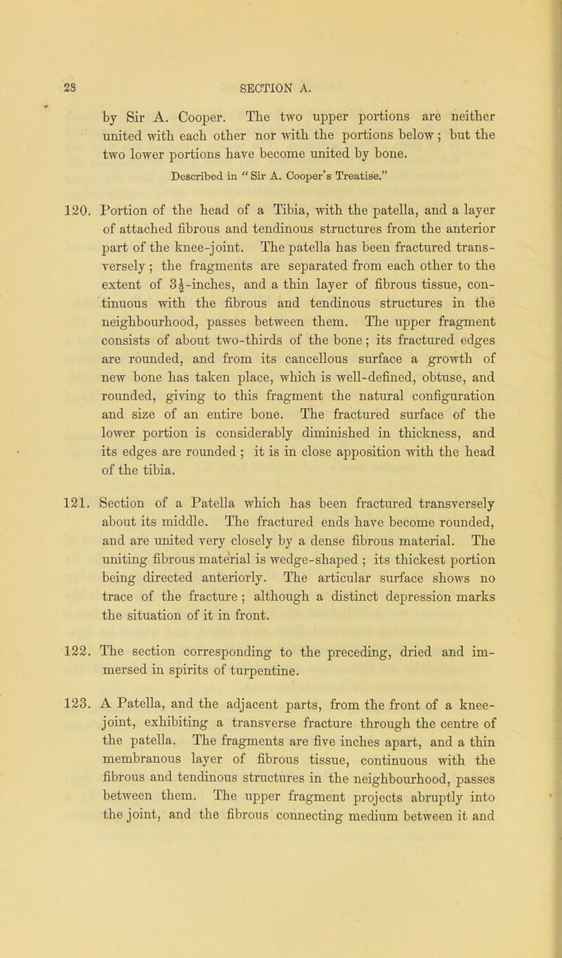 by Sir A. Cooper. Tlie two upper portions are neither united with each other nor with the portions below; but the two lower portions have become united by bone. Described in  Sir A. Cooper's Treatise. 120. Portion of the head of a Tibia, with the patella, and a layer of attached fibrous and tendinous structures from the anterior part of the knee-joint. The patella has been fractured trans- versely ; the fragments are separated from each other to the extent of 31-inches, and a thin layer of fibrous tissue, con- tinuous with the fibrous and tendinous structures in the neighbourhood, passes between them. The upper fragment consists of about two-thirds of the bone; its fractured edges are rounded, and from its cancellous surface a growth of new bone has taken place, which is well-defined, obtuse, and rounded, giving to this fragment the natural configuration and size of an entire bone. The fractured sm-face of the lower portion is considerably diminished in thickness, and its edges are rounded ; it is in close apposition with the head of the tibia. 121. Section of a Patella which has been fractured transversely about its middle. The fractured ends have become rounded, and are united very closely by a dense fibrous material. The uniting fibrous material is wedge-shaped ; its thickest portion being directed anteriorly. The ai-ticular surface shows no trace of the fractm'e ; although a distinct depression marks the situation of it in fi-ont. 122. The section corresponding to the preceding, dried and im- mersed in spirits of turpentine. 123. A Patella, and the adjacent parts, from the front of a knee- joint, exhibiting a transverse fracture through the centre of the patella. The fragments are five inches apart, and a thin membranous layer of fibrous tissue, continuous with the fibrous and tendinous structures in the neighbourhood, passes between them. The upper fragment projects abruptly into the joint, and the fibrous connecting medium between it and