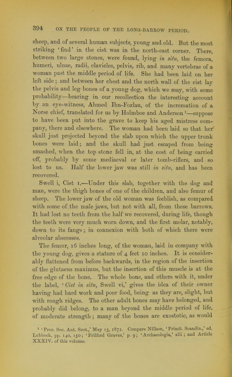 sheep, and of several human subjects, young and old. But the most striking 'find' in the cist was in the north-east corner. There, between two large stones, were found, lying in situ, the femora, humeri, ulnae, radii, clavicles, pelvis, rib, and many vertebrae of a woman past the middle period of life. She had been laid on her left side; and between her chest and the north wall of the cist lay the pelvis and leg bones of a young dog, which we may, with some probability—bearing in our recollection the interesting account by an eye-witness, Ahmed Ibn-Fozlau, of the incremation of a Norse chief, translated for us by Holmboe and Anderson ^—suppose to have been put into the grave to keep his aged mistress com- pany, there and elsewhere. The woman had been laid so that her skull just projected beyond the slab upon which the upper trunk bones were laid; and the skull had just escaped from being smashed, when the top stone fell in, at the cost of being carried ofi, probably by some mediaeval or later tomb-riflers, and so lost to us. Half the lower jaw was still in situ, and has been recovered. Swell i, Cist t.—Under this slab, together with the dog and man, were the thigh bones of one of the children, and also femur of sheep. The lower jaw of the old woman was feeblish, as compared with some of the male jaws, but not with all, from these barrows. It had lost no teeth from the half we recovered, during life, though the teeth were very much worn down, and the first molar, notably, down to its fangs ; in connexion with both of which there were alveolar abscesses. The femur, 16 inches long, of the woman, laid in company with the young dog, gives a stature of 4 feet 10 inches. It is consider- ably flattened from before backwards, in the region of the insertion of the glutaeus maximus, but the insertion of this muscle is at the free edge of the bone. The whole bone, and others with it, under the label, ' Cist in situ, Swell vi,' gives the idea of their owner having had hard work and poor food, being as they are, slight, but with rough ridges. The other adult bones may have belonged, and probably did belong, to a man beyond the middle period of life, of moderate strength ; many of the bones are exostotic, as would * 'Proc. Soc. Ant. Scot.,' May 13, 1872. Compare Nillson, 'Primit. Scandin.,' ed. Lubbock, pp. 140, 150; 'Frilford Graves,' p. 9; ' Archaeologia,' xlii; and Article XXXIV. of this volume.