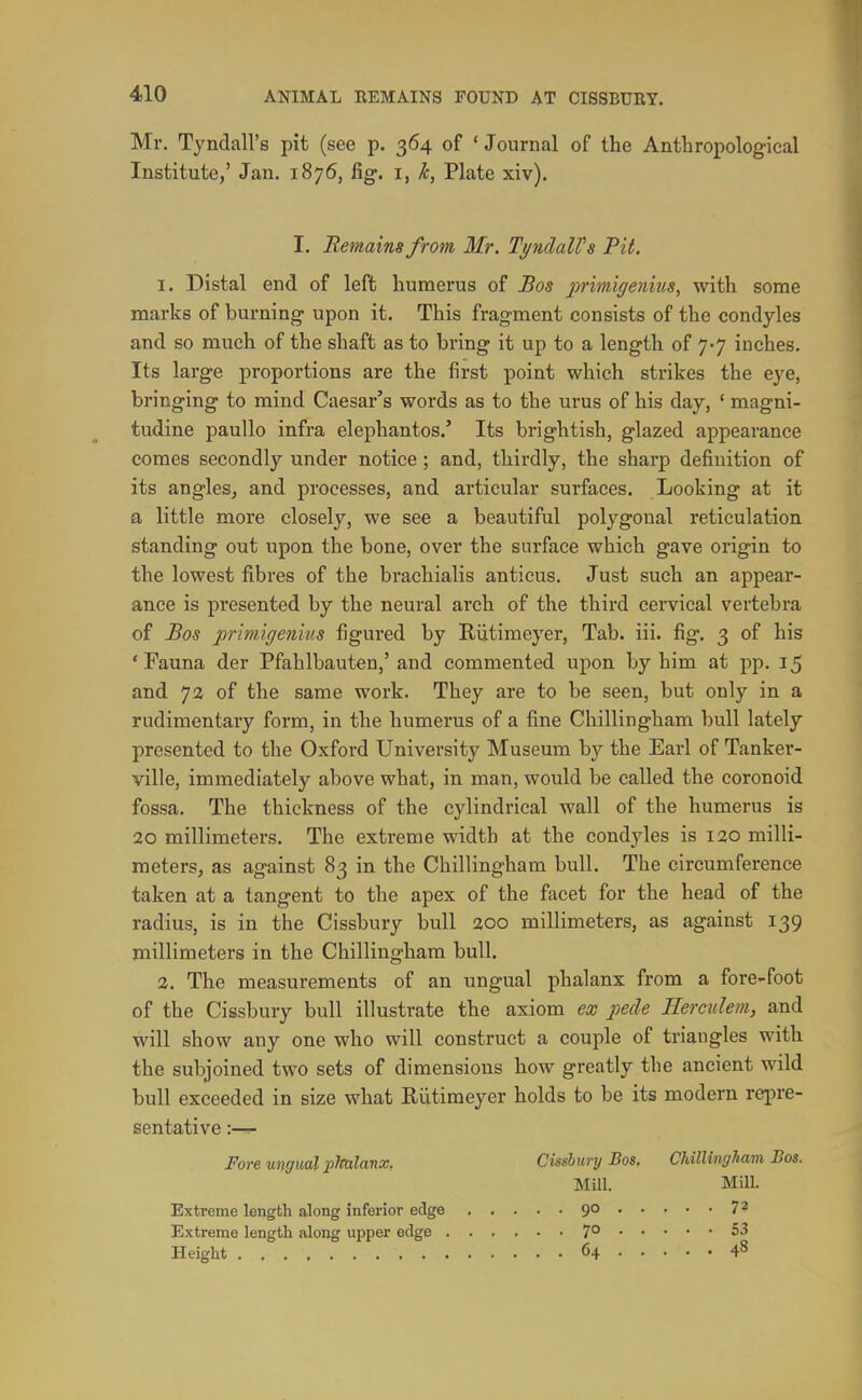 Mr. Tyndall's pit (see p. 364 of ' Journal of the Anthropological Institute,' Jan. 1876, fig. i, k, Plate xiv). I. Remains from Mr. TyndalVs Tit. 1. Distal end of left humerus of Bos primiffemus, with some marks of burning upon it. This fragment consists of the condyles and so much of the shaft as to bring it up to a length of 7-7 inches. Its large proportions are the first point which strikes the eye, bringing to mind Caesar's words as to the urus of his day, ' magni- tudine pauUo infra elephantos.' Its brightish, glazed appearance comes secondly under notice; and, thirdly, the sharp definition of its angles, and processes, and articular surfaces. Looking at it a little more closely, we see a beautiful polygonal reticulation standing out upon the bone, over the surface which gave origin to the lowest fibres of the brachialis anticus. Just such an appear- ance is presented by the neural arch of the third cervical vertebra of Bos primigenius figured by Riitimeyer, Tab. iii. fig. 3 of his 'Fauna der Pfahlbauten,' and commented upon by him at pp. 15 and 72 of the same work. They are to be seen, but only in a rudimentary form, in the humerus of a fine Chillingham bull lately presented to the Oxford University Museum by the Earl of Tanker- ville, immediately above what, in man, would be called the coronoid fossa. The thickness of the cylindrical wall of the humerus is 20 millimeters. The extreme width at the condyles is 120 milli- meters, as against 83 in the Chillingham bull. The circumference taken at a tangent to the apex of the facet for the head of the radius, is in the Cissbury bull 200 millimeters, as against 139 millimeters in the Chillingham bull. 2. The measurements of an ungual phalanx from a fore-foot of the Cissbury bull illustrate the axiom ex pecle Hercjilem, and will show any one who will construct a couple of triangles with the subjoined two sets of dimensions how greatly the ancient wild bull exceeded in size what Riitimeyer holds to be its modern repre- sentative Fore ungual pJtalanx, Cissbury Bos, Chillingham Bos. Extreme length along inferior edge Extreme length along upper edge Height Mill. Mill. 90 7? 70 53 64 48