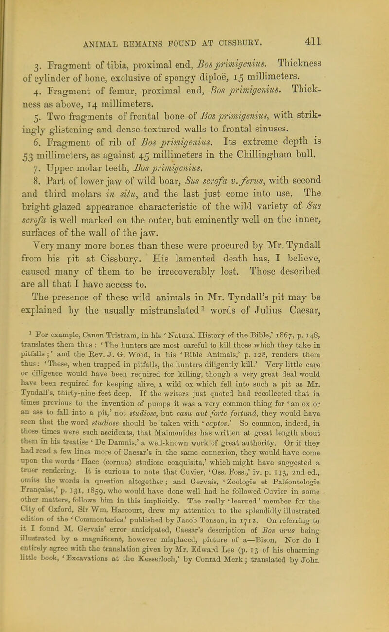 3. Fragment of tibia, proximal end, Bos primigenius. Thickness of cylinder of bone, exclusive of spongy diploe, 15 millimeters. 4. Fragment of femur, proximal end, Bos primigenius. Thick- ness as abovCj 14 millimeters. 5. Two fragments of frontal bone of Bos primigenius, with strik- ingly glistening and dense-textured walls to frontal sinuses. 6. Fragment of rib of Bos primigenius. Its extreme depth is 53 millimeters^ as against 45 millimeters in the Chillingham bull. 7. Upper molar teeth, Bos primigenius. 8. Part of lower jaw of wild boarj Sus scrofa v.ferus, withi second and third molars in situ, and the last just come into use. The bright glazed appearance characteristic of the wild variety of Stis scrofa is well marked on the outer, but eminently well on the inner, surfaces of the wall of the jaw. Very many more bones than these were procured by Mr, Tyndall from his pit at Cissbury. His lamented death has, I believe, caused many of them to be irrecoverably lost. Those described are all that I have access to. The presence of these wild animals in Mr. Tyndall's pit may be explained by the usually mistranslated^ words of Julius Caesar, ^ Por example, Canon Tristram, in his ' Natural History of the Bible,' 1867, p. I48, translates them thus : ' The hunters are most careful to kill those which they take in pitfalls;' and the Eev. J. G. Wood, in his 'Bible Animals,' p. 128, renders them thus: 'These, when trapped in pitfalls, the hunters diligently kill.' Very little care or diligence would have been required for killing, though a very great deal would have been required for keeping alive, a wild ox which fell into such a pit as Mr. Tyndall's, thirty-nine feet deep. If the writers just quoted had recollected that in times previous to the invention of pumps it was a very common thing for ' an ox or an ass to fall into a pit,' not studiose, but casu aid forte fortund, they would have seen that the word studiose should be taken with ' captos.' So common, indeed, in those times were such accidents, that Maimonides has written at great length about them in Lis treatise ' De Damnis,' a well-known work of great authority. Or if they had read a few lines more of Caesar's in the same connexion, they would have come upon the words ' Haec (comua) studiose conquisita,' which might have suggested a truer rendering. It is curious to note that Cuvier, ' Oss. Foss.,' iv. p. 113, 2nd ed., omits the words in question altogether; and Gervais, 'Zoologie et Pal^ontologie Franijaise,' p. 131, 1859, who would have done well had he followed Cuvier in some other matters, follows him in this implicitly. The really ' learned' member for tlie City of Oxford, Sir Wm. Harcourt, drew my attention to the splendidly illustrated edition of the 'Commentaries,' publi.shed by Jacob Tonson, in 1712. On referring to it I found M. Gervais' error anticipated, Caesar's description of Bos urus being illustrated by a magnificent, however misplaced, picture of a—Bison. Nor do I entirely agree with the translation given by Mr. Edward Lee (p. 13 of his charming little book, 'Excavations at the Kesserloch/ by Conrad Merk; translated by John