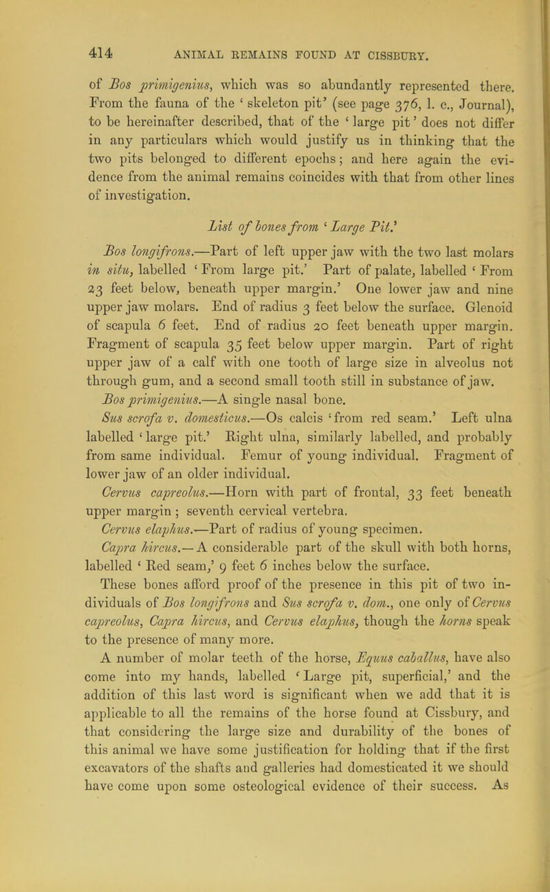 of Bos pmnigenius, which was so abundantly represented there. From the fauna of the ' skeleton pit' (see page 376, 1. c., Journal), to be hereinafter described, that of the ' large pit' does not differ in any particulars which would justify us in thinking that the two pits belonged to different epochs; and here again the evi- dence from the animal remains coincides with that from other lines of investigation. List of hones from ^ Large TU^ Bos longifrons.—Part of left upper jaw with the two last molars in situ, labelled ' From large pit.' Part of palate, labelled ' From 33 feet below, beneath upper margin.' One lower jaw and nine upper jaw molars. End of radius 3 feet below the surface. Glenoid of scapula 6 feet. End of radius 30 feet beneath upper margin. Fragment of scapula 35 feet below upper margin. Part of right upper jaw of a calf with one tooth of large size in alveolus not through gum, and a second small tooth still in substance of jaw. Bos primigenius.—A single nasal bone. Susscrofav. clomesticus.—Os calcis 'from red seam.' Left ulna labelled ' large pit.' Right ulna, similarly labelled, and probably from same individual. Femur of young individual. Fragment of lower jaw of an older individual. Cervus capreolus.—Horn with part of frontal, 33 feet beneath upper margin ; seventh cervical vertebra. Cerviis elaphus.'—Part of radius of young specimen. Cajora Mrcus.— A considerable part of the skull with both horns, labelled ' Red seam/ 9 feet 6 inches below the surface. These bones afford proof of the presence in this pit of two in- dividuals of Bos long frons and Sus scrofa v. dom., one only of Cervus capreolus, Capra liircus, and Cervus elaphus, though the horns speak to the presence of many more. A number of molar teeth of the horse, Equus caballus, have also come into my hands, labelled ' Large pit, superficial,' and the addition of this last word is significant when we add that it is applicable to all the remains of the horse found at Cissbury, and that considering the large size and durability of the bones of this animal we have some justification for holding that if the first excavators of the shafts and galleries had domesticated it we should have come upon some osteological evidence of their success. As