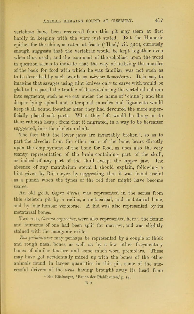 vertebrae have been recovered from this pit may seem at first hardly in keeping with the view just stated. But the Homeric epithet for the chine, as eaten at feasts (' Iliad,' vii. 321), cm'iously enough suggests that the vertebrae would be kept together even when thus used; and the comment of the scholiast upon the word in question seems to indicate that the way of Utilising the muscles of the back for food with which he was familiar, was not such as to be described by such words as vu)tol(tl hnqviKieacri. It is easy to imagine that savages using flint knives only to carve with would be glad to be spared the trouble of disarticulating the vertebral column into segments^ such as we eat under the name of ' chine'; and the deeper lying spinal and interspinal muscles and ligaments would keep it all bound together after they had devoured the more super- ficially placed soft parts. What they left would be flung on to their rubbish heap ; from that it migrated, in a way to be hereafter suggested, into the skeleton shaft. The fact that the lower jaws are invariably broken ^, so as to part the alveolar from the other parts of the bone, bears directly upon the employment of the bone for food, as does also the very scanty representation of the brain-containing part of the skull, or indeed of any part of the skull except the upper jaw. The absence of any manubrium sterni I should explain, following a hint given by Riitiraeyer, by suggesting that it was found useful as a punch when the tynes of the red deer might have become scarce. An old goat, Capra hircus, was represented in the series from this skeleton pit by a radius, a metacarpal, and metatarsal bone, and by four lumbar vertebrae. A kid was also represented by its metatarsal bones. Two roes, Cervus capreolus, were also represented here ; the femur and humerus of one had been split for marrowj and was slightly stained with the manganic oxide. Bos primigenius may perhaps be represented by a couple of thick and rough nasal bones, as well as by a few other fragmentary bones of similar texture, and some much worn premolars. These may have got accidentally mixed up with the bones of the other animals found in larger quantities in this pit, some of the suc- cessful drivers of the urns having brought away its head from * See Eutimeyer, 'Fauna der Pfablbauten,' p. 14. E e