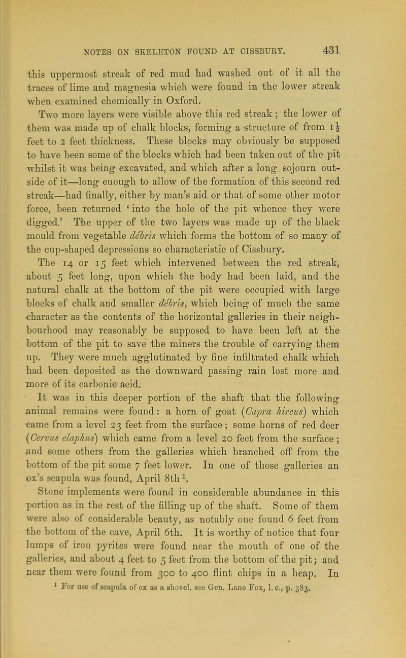 this uppermost streak of red mud had washed out of it all the traces of lime and magnesia which were found in the lower streak when examined chemically in Oxford, Two more layers were visible above this red streak; the lower of them was made up of chalk blocks) forming- a structure of from t ^ feet to 2 feet thickness. These blocks may obviously be supposed to have been some of the blocks which had been taken out of the pit whilst it was being excavated, and which after a long sojourn out- side of it—long enough to allow of the formation of this second red streak—had finally, either by man's aid or that of some other motor force, been returned ' into the hole of the pit whence they were digged.' The upper of tlie two layers was made up of the black mould from vegetable debris which forms the bottom of so many of the cup-shaped depressions so characteristic of Cissbury. The 14 or 15 feet which intervened between the red streak, about 5 feet long, upon which the body had been laid, and the natural chalk at the bottom of the pit were occupied with large blocks of chalk and smaller debris^ which being of much the same character as the contents of the horizontal galleries in their neigh- bourhood may reasonably be supposed to have been left at the bottom of the pit to save the miners the trouble of carrying them up. They were much agglutinated by fine infiltrated chalk which had been deposited as the downward passing rain lost more and more of its carbonic acid. It was in this deeper portion of the shaft that the following animal remains were found: a horn of goat [Gapra Idrcus) which came from a level 23 feet from the surface ; some horns of red deer {Cervus elajphus) which came from a level 20 feet from the surface; and some others from the galleries which branched off from the bottom of the pit some 7 feet lower. In one of those galleries an ox's scapula was found, April 8th ^. Stone implements were found in considerable abundance in this portion as in the rest of the filling up of the shaft. Some of them were also of considerable beauty, as notably one found 6 feet from the bottom of the cave, April 6th. It is worthy of notice that four lumps of iron pyrites were found near the mouth of one of the galleries, and about 4 feet to 5 feet from the bottom of the pit; and near them were found from 300 to 400 flint chips in a heap. In * For uae of scapula of ox as a shovel, see Gen, Lane Fox, 1. c, p. 383. I