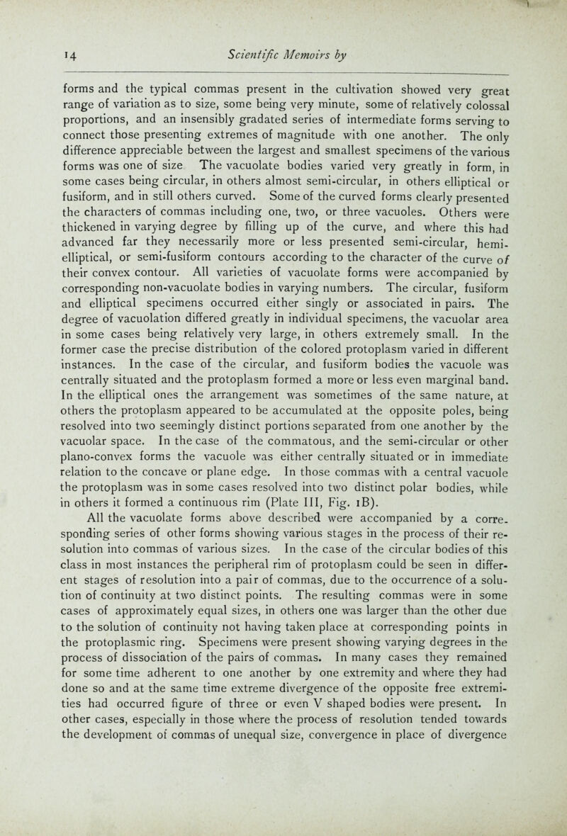 forms and the typical commas present in the cultivation showed very great range of variation as to size, some being very minute, some of relatively colossal proportions, and an insensibly gradated series of intermediate forms serving to connect those presenting extremes of magnitude with one another. The only difference appreciable between the largest and smallest specimens of the various forms was one of size The vacuolate bodies varied very greatly in form, in some cases being circular, in others almost semi-circular, in others elliptical or fusiform, and in still others curved. Some of the curved forms clearly presented the characters of commas including one, two, or three vacuoles. Others were thickened in varying degree by filling up of the curve, and where this had advanced far they necessarily more or less presented semi-circular, hemi- elliptical, or semi-fusiform contours according to the character of the curve of their convex contour. All varieties of vacuolate forms were accompanied by corresponding non-vacuolate bodies in varying numbers. The circular, fusiform and elliptical specimens occurred either singly or associated in pairs. The degree of vacuolation differed greatly in individual specimens, the vacuolar area in some cases being relatively very large, in others extremely small. In the former case the precise distribution of the colored protoplasm varied in different instances. In the case of the circular, and fusiform bodies the vacuole was centrally situated and the protoplasm formed a more or less even marginal band. In the elliptical ones the arrangement was sometimes of the same nature, at others the protoplasm appeared to be accumulated at the opposite poles, being resolved into two seemingly distinct portions separated from one another by the vacuolar space. In the case of the commatous, and the semi-circular or other plano-convex forms the vacuole was either centrally situated or in immediate relation to the concave or plane edge. In those commas with a central vacuole the protoplasm was in some cases resolved into two distinct polar bodies, while in others it formed a continuous rim (Plate III, Fig. iB). All the vacuolate forms above described were accompanied by a corre- sponding series of other forms showing various stages in the process of their re- solution into commas of various sizes. In the case of the circular bodies of this class in most instances the peripheral rim of protoplasm could be seen in differ- ent stages of resolution into a pair of commas, due to the occurrence of a solu- tion of continuity at two distinct points. The resulting commas were in some cases of approximately equal sizes, in others one was larger than the other due to the solution of continuity not having taken place at corresponding points in the protoplasmic ring. Specimens were present showing varying degrees in the process of dissociation of the pairs of commas. In many cases they remained for some time adherent to one another by one extremity and where they had done so and at the same time extreme divergence of the opposite free extremi- ties had occurred figure of three or even V shaped bodies were present. In other cases, especially in those where the process of resolution tended towards the development of commas of unequal size, convergence in place of divergence