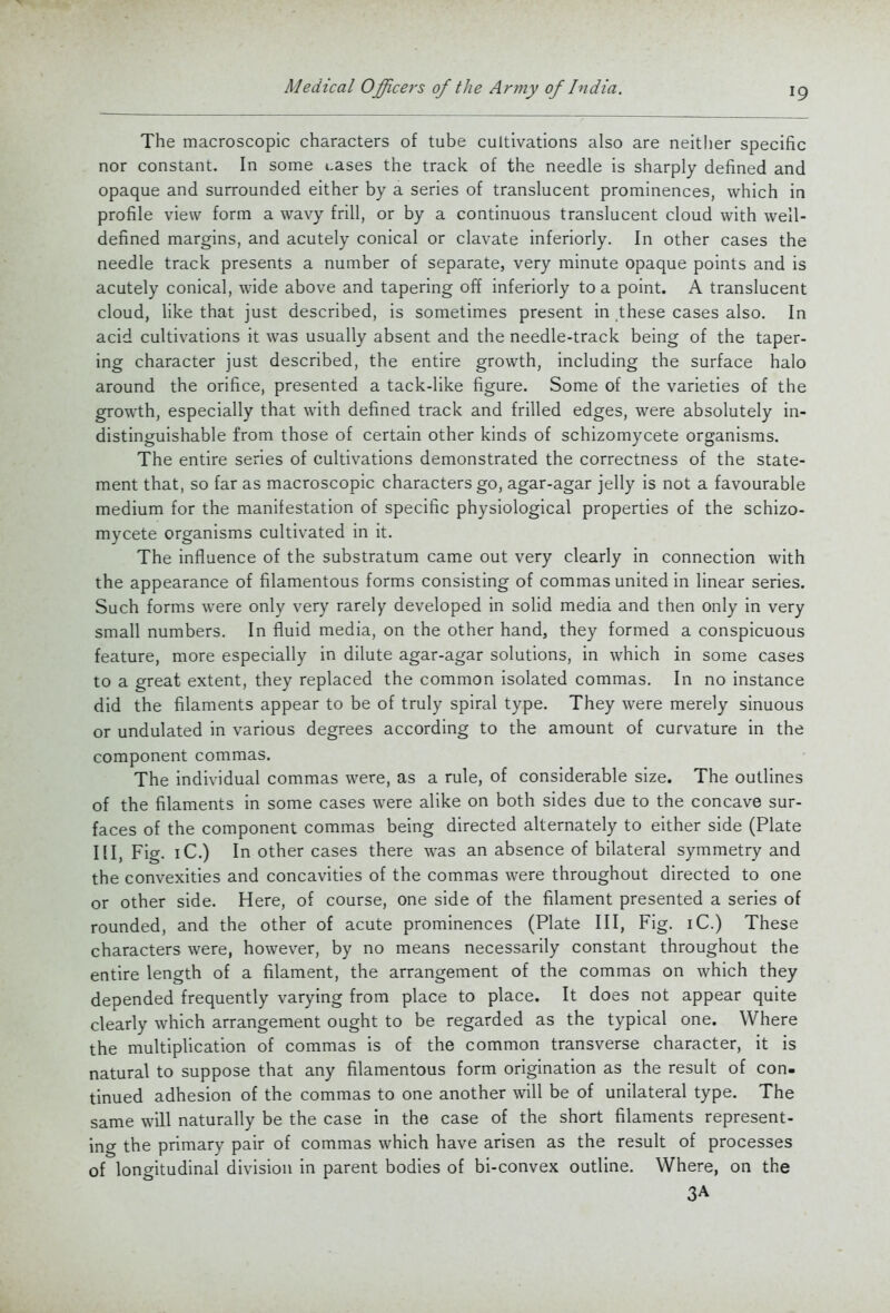 The macroscopic characters of tube cultivations also are neither specific nor constant. In some i.ases the track of the needle is sharply defined and opaque and surrounded either by a series of translucent prominences, which in profile view form a wavy frill, or by a continuous translucent cloud with well- defined margins, and acutely conical or clavate inferiorly. In other cases the needle track presents a number of separate, very minute opaque points and is acutely conical, wide above and tapering off inferiorly to a point. A translucent cloud, like that just described, is sometimes present in these cases also. In acid cultivations it was usually absent and the needle-track being of the taper- ing character just described, the entire growth, including the surface halo around the orifice, presented a tack-like figure. Some of the varieties of the growth, especially that with defined track and frilled edges, were absolutely in- distinguishable from those of certain other kinds of schizomycete organisms. The entire series of cultivations demonstrated the correctness of the state- ment that, so far as macroscopic characters go, agar-agar jelly is not a favourable medium for the manifestation of specific physiological properties of the schizo- mycete organisms cultivated in it. The influence of the substratum came out very clearly in connection with the appearance of filamentous forms consisting of commas united in linear series. Such forms were only very rarely developed in solid media and then only in very small numbers. In fluid media, on the other hand, they formed a conspicuous feature, more especially in dilute agar-agar solutions, in which in some cases to a great extent, they replaced the common isolated commas. In no instance did the filaments appear to be of truly spiral type. They were merely sinuous or undulated in various degrees according to the amount of curvature in the component commas. The individual commas were, as a rule, of considerable size. The outlines of the filaments in some cases were alike on both sides due to the concave sur- faces of the component commas being directed alternately to either side (Plate III, Fig. iC.) In other cases there was an absence of bilateral symmetry and the convexities and concavities of the commas were throughout directed to one or other side. Here, of course, one side of the filament presented a series of rounded, and the other of acute prominences (Plate III, Fig. iC.) These characters were, however, by no means necessarily constant throughout the entire length of a filament, the arrangement of the commas on which they depended frequently varying from place to place. It does not appear quite clearly which arrangement ought to be regarded as the typical one. Where the multiplication of commas is of the common transverse character, it is natural to suppose that any filamentous form origination as the result of con- tinued adhesion of the commas to one another will be of unilateral type. The same will naturally be the case in the case of the short filaments represent- ing the primary pair of commas which have arisen as the result of processes of longitudinal division in parent bodies of bi-convex outline. Where, on the 3A