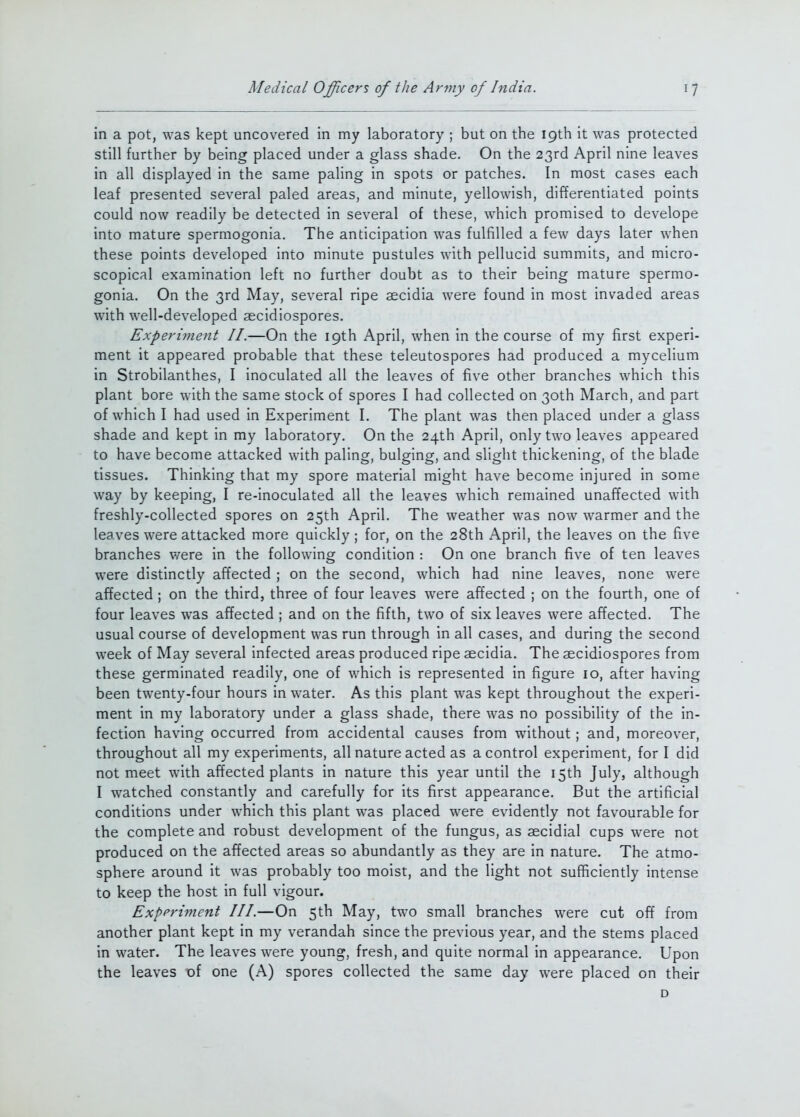 in a pot, was kept uncovered in my laboratory ; but on the 19th it was protected still further by being placed under a glass shade. On the 23rd April nine leaves in all displayed in the same paling in spots or patches. In most cases each leaf presented several paled areas, and minute, yellowish, differentiated points could now readily be detected in several of these, which promised to develope into mature spermogonia. The anticipation was fulfilled a few days later when these points developed into minute pustules with pellucid summits, and micro- scopical examination left no further doubt as to their being mature spermo- gonia. On the 3rd May, several ripe aecidia were found in most invaded areas with well-developed aecidiospores. Experiment II.—On the 19th April, when in the course of my first experi- ment it appeared probable that these teleutospores had produced a mycelium in Strobilanthes, I inoculated all the leaves of five other branches which this plant bore with the same stock of spores I had collected on 30th March, and part of which I had used in Experiment I. The plant was then placed under a glass shade and kept in my laboratory. On the 24th April, only two leaves appeared to have become attacked with paling, bulging, and slight thickening, of the blade tissues. Thinking that my spore material might have become injured in some way by keeping, I re-inoculated all the leaves which remained unaffected with freshly-collected spores on 25th April. The weather was now warmer and the leaves were attacked more quickly; for, on the 28th April, the leaves on the five branches were in the following condition : On one branch five of ten leaves were distinctly affected ; on the second, which had nine leaves, none were affected ; on the third, three of four leaves were affected ; on the fourth, one of four leaves was affected ; and on the fifth, two of six leaves were affected. The usual course of development was run through in all cases, and during the second week of May several infected areas produced ripe aecidia. The aecidiospores from these germinated readily, one of which is represented in figure 10, after having been twenty-four hours in water. As this plant was kept throughout the experi- ment in my laboratory under a glass shade, there was no possibility of the in- fection having occurred from accidental causes from without ; and, moreover, throughout all my experiments, all nature acted as a control experiment, for I did not meet with affected plants in nature this year until the 15th July, although I watched constantly and carefully for its first appearance. But the artificial conditions under which this plant was placed were evidently not favourable for the complete and robust development of the fungus, as aecidial cups were not produced on the affected areas so abundantly as they are in nature. The atmo- sphere around it was probably too moist, and the light not sufficiently intense to keep the host in full vigour. Experiment III.—On 5th May, two small branches were cut off from another plant kept in my verandah since the previous year, and the stems placed in water. The leaves were young, fresh, and quite normal in appearance. Upon the leaves of one (A) spores collected the same day were placed on their D