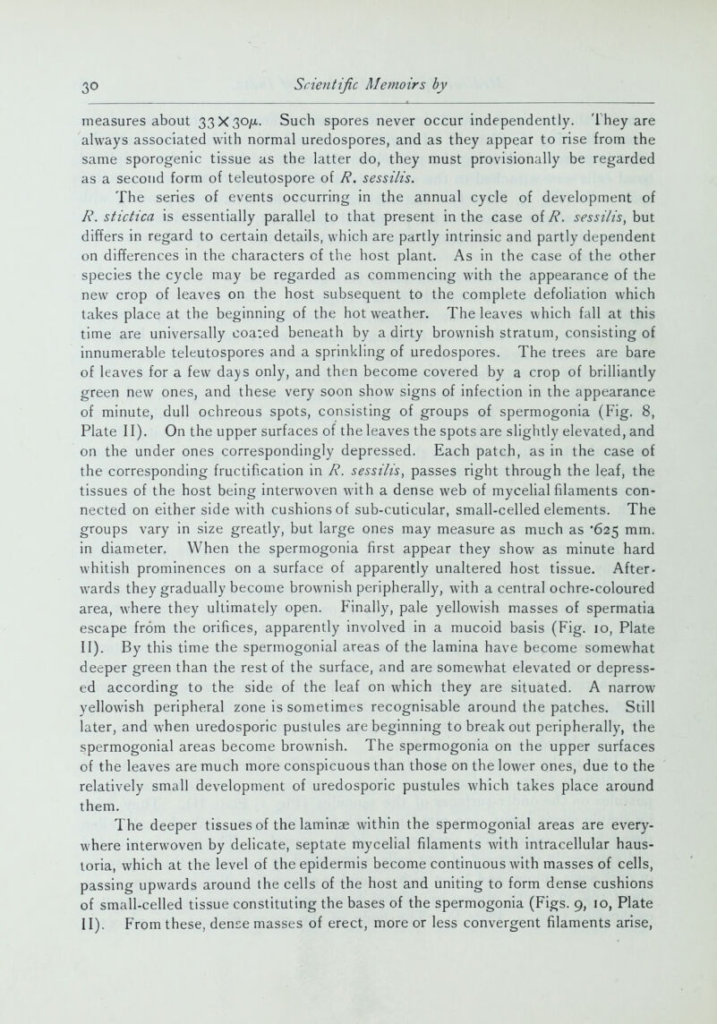 measures about 33X30/X. Such spores never occur independently. They are always associated with normal uredospores, and as they appear to rise from the same sporogenic tissue as the latter do, they must provisionally be regarded as a second form of teleutospore of R. sessi/is. The series of events occurring in the annual cycle of development of /?. stictica is essentially parallel to that present in the case of R. sessilis, but differs in regard to certain details, which are partly intrinsic and partly dependent on differences in the characters of the host plant. As in the case of the other species the cycle may be regarded as commencing with the appearance of the new crop of leaves on the host subsequent to the complete defoliation which takes place at the beginning of the hot weather. The leaves which fall at this time are universally coa:ed beneath by a dirty brownish stratum, consisting of innumerable teleutospores and a sprinkling of uredospores. The trees are bare of leaves for a few days only, and then become covered by a crop of brilliantly green new ones, and these very soon show signs of infection in the appearance of minute, dull ochreous spots, consisting of groups of spermogonia (Fig. 8, Plate II). On the upper surfaces of the leaves the spots are slightly elevated, and on the under ones correspondingly depressed. Each patch, as in the case of the corresponding fructification in R. sessilis, passes right through the leaf, the tissues of the host being interwoven with a dense web of mycelial filaments con- nected on either side with cushions of sub-cuticular, small-celled elements. The groups vary in size greatly, but large ones may measure as much as '625 mm. in diameter. When the spermogonia first appear they show as minute hard whitish prominences on a surface of apparently unaltered host tissue. After- wards they gradually become brownish peripherally, with a central ochre-coloured area, where they ultimately open. Finally, pale yellowish masses of spermatia escape from the orifices, apparently involved in a mucoid basis (Fig. 10, Plate II). By this time the spermogonial areas of the lamina have become somewhat deeper green than the rest of the surface, and are somewhat elevated or depress- ed according to the side of the leaf on which they are situated. A narrow yellowish peripheral zone is sometimes recognisable around the patches. Still later, and when uredosporic pustules are beginning to break out peripherally, the spermogonial areas become brownish. The spermogonia on the upper surfaces of the leaves are much more conspicuous than those on the lower ones, due to the relatively small development of uredosporic pustules which takes place around them. The deeper tissues of the laminae within the spermogonial areas are every- where interwoven by delicate, septate mycelial filaments with intracellular haus- toria, which at the level of the epidermis become continuous with masses of cells, passing upwards around the cells of the host and uniting to form dense cushions of small-celled tissue constituting the bases of the spermogonia (Figs. 9, 10, Plate II). From these, dense masses of erect, more or less convergent filaments arise.