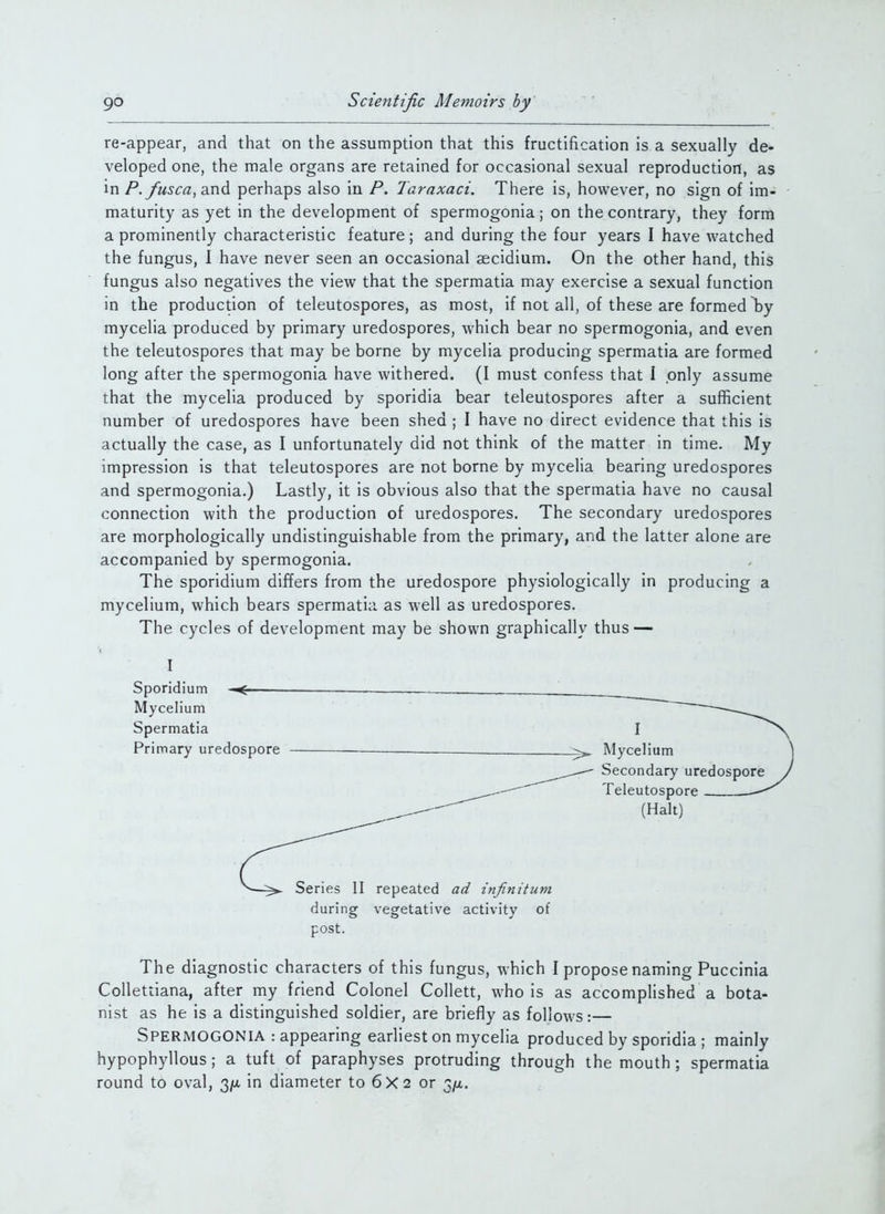 re-appear, and that on the assumption that this fructification is a sexually de- veloped one, the male organs are retained for occasional sexual reproduction, as in/'.y«5<7«, and perhaps also in P. Taraxaci. There is, however, no sign of im- maturity as yet in the development of spermogonia ; on the contrary, they form a prominently characteristic feature; and during the four years I have watched the fungus, I have never seen an occasional aecidium. On the other hand, this fungus also negatives the view that the spermatia may exercise a sexual function in the production of teleutospores, as most, if not all, of these are formed by mycelia produced by primary uredospores, which bear no spermogonia, and even the teleutospores that may be borne by mycelia producing spermatia are formed long after the spermogonia have withered. (I must confess that 1 only assume that the mycelia produced by sporidia bear teleutospores after a sufficient number of uredospores have been shed ; I have no direct evidence that this is actually the case, as I unfortunately did not think of the matter in time. My impression is that teleutospores are not borne by mycelia bearing uredospores and spermogonia.) Lastly, it is obvious also that the spermatia have no causal connection with the production of uredospores. The secondary uredospores are morphologically undistinguishable from the primary, and the latter alone are accompanied by spermogonia. The sporidium differs from the uredospore physiologically in producing a mycelium, which bears spermatia as well as uredospores. The cycles of development may be shown graphically thus — I Sporidium Mycelium Spermatia Primary uredospore II repeated ad infinitum during vegetative activity of post. The diagnostic characters of this fungus, which I propose naming Puccinia CoUettiana, after my friend Colonel Collett, who is as accomplished a bota- nist as he is a distinguished soldier, are briefly as follows:— Spermogonia : appearing earliest on mycelia produced by sporidia ; mainly hypophyllous; a tuft of paraphyses protruding through the mouth; spermatia round to oval, 3/a in diameter to 6X2 or 3/x. I Mycelium Secondary uredospore Teleutospore (Halt)