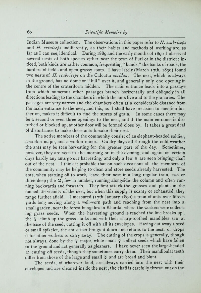 Indian Museum collection. The observations in this paper refer to H. scahriceps and H. criniceps indifferently, as their habits and methods of working are, so far as I can see, identical. During 1889 and the early months of 1890 I observed several nests of both species either near the town of Puri or in the district; in- deed, both kinds are rather common, frequenting  bunds, the banks of roads, the borders of fields and open grassy spots. I have lately (March 17th, 1890) found two nests of H. scahriceps on the Calcutta maidan. The nest, which is always in the ground, has no dome or  hill over it, and generally only one opening in the centre of the crateriform midden. The main entrance leads into a passage from which numerous other passages branch horizontally and obhquely in all directions leading to the chambers in which the ants live and to the granaries. The passages are very narrow and the chambers often at a considerable distance from the main entrance to the nest, and this, as I shall have occasion to mention fur- ther on, makes it difficult to find the stores of grain. In some cases there may be a second or even three openings to the nest, and if the main entrance is dis- turbed or blocked up, another door will be formed close by. It takes a great deal of disturbance to make these ants forsake their nest. The active members of the community consist of an elephant-headed soldier, a worker major, and a worker minor. On dry days all through the cold weather the ants may be seen harvesting for the greater part of the day. Sometimes, however, they are seen in the morning or in the evening, and again on certain days hardly any ants go out harvesting, and only a few ^ are seen bringing chaff out of the nest. I think it probable that on such occasions all the members of the community may be helping to clean and store seeds already harvested. The ants, when starting off to work, leave their nest in a long regular train, two or three deep ; the 2f, few in number, running alongside the column and often run- ning backwards and forwards. They first attack the grasses and plants in the immediate vicinity of the nest, but when this supply is scanty or exhausted, they range further afield. I measured (17th January 1890) a train of ants over fifteen yards long moving along a well-worn path and reaching from the nest into a small garden, near the forest bungalow in Khurda, where the workers were collect- ing grass seeds. When the harvesting ground is reached the line breaks up ; the ^ climb up the grass stalks and with their sharp-toothed mandibles saw at the base of the seed, cutting it off with all its envelopes. Having cut away a seed or small spikelet, the ant either brings it down and returns to the nest, or drops it for other workers to carry away. The cutting of the crops is generally, though not always, done by the $ major, while small ^ collect seeds which have fallen to the ground and act generally as gleaners. I have never seen the large-headed If cutting off seeds, though they sometimes carry them. Their mandibular teeth differ from those of the large and small $ and are broad and blunt. The seeds, of whatever kind, are always carried into the nest with their envelopes and are cleaned inside the nest; the chaff is carefully thrown out on the