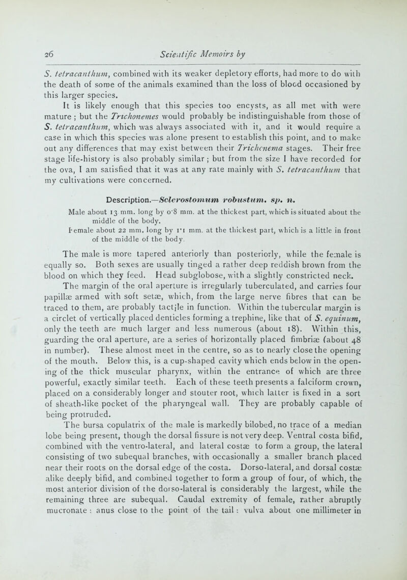 S. tetracanthum, combined with its weaker depletory efforts, had more to do with the death of some of the animals examined than the loss of blood occasioned by this larger species. It is likely enough that this species too encysts, as all met with were mature ; but the Tnchonemes would probably be indistinguishable from those of S. tetracanthum, which was always associated with it, and it would require a case in which this species was alone present to establish this point, and to make out any differences that may exist between their Trichcnema stages. Their free stage life-history is also probably similar ; but from the size I have recorded for the ova, I am satisfied that it was at any rate mainly with S. tetracanthum that my cultivations were concerned. Description.—Sclevostomum robustum. sp. n. Male about 13 mm. long by o-8 mm. at the thickest part, which is situated about the middle of the body. Pemale about 22 mm. long by i'i mm. at the thickest part, which is a little in front of the middle of the body. The male is more tapered anteriorly than posteriorly, while the female is equally so. Both sexes are usually tinged a rather deep reddish brown from the blood on which they feed. Head subglobose, with a slightly constricted neck. The margin of the oral aperture is irregularly tuberculated, and carries four papillae armed with soft setae, which, from the large nerve fibres that can be traced to them, are probably tactile in function. Within the tubercular margin is a circlet of vertically placed denticles forming a trephine, like that of S. equinum, only the teeth are much larger and less numerous (about 18). Within this, guarding the oral aperture, are a series of horizontally placed fimbriae (about 48 in number). These almost meet in the centre, so as to nearly close the opening of the mouth. Below this, is a cup-shaped cavity which ends below in the open- ing of the thick muscular pharynx, within the entrance of which are three powerful, exactly similar teeth. Each of these teeth presents a falciform crown, placed on a considerably longer and stouter root, which latter is fixed in a sort of sheath-like pocket of the pharyngeal wall. They are probably capable of being protruded. The bursa copulatrix of the male is markedly bilobed, no trace of a median lobe being present, though the dorsal fissure is not very deep. Ventral costa bifid, combined with the ventrolateral, and lateral costae to form a group, the lateral consisting of two subequal branches, with occasionally a smaller branch placed near their roots on the dorsal edge of the costa. Dorso-lateral, and dorsal costae alike deeply bifid, and combined together to form a group of four, of which, the most anterior division of the doiso-lateral is considerably the largest, while the remaining three are subequal. Caudal extremity of female, rather abruptly mucronate : anus close to the point of the tail : vulva about one millimeter in