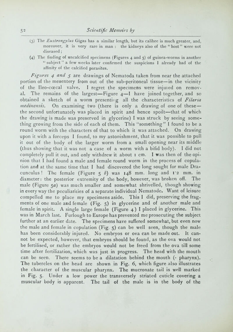 (3) The Eustrongylus Gigas has a similar length, but its calibre is much greater, and, moreover, it is very rare in man : the kidneys also of the  host were not diseased ; (4) The finding of uncalcified specimens (Figures 4 and 5) of guinea-worms in another  subject  a few weeks later confirmed the suspicions I already had of the affinity of the calcified parasites. Figures 4 and 5 are drawings of Nematoda taken from near the attached portion of the mesentery from out of the sub-peritoneal tissue—in the vicinity of the Ileo-coecal valve. I regret the specimens were injuied on remov- al. The remains of the largest—Figure 4—I have joined together, and so obtained a sketch of a worm presenting all the characteristics of Filaria medinensis. On examining two (there is only a drawing of one of these — the second unfortunately was placed in spirit and hence spoilt—that of which the drawing is made was preserved in glycerine) I was struck by seeing some- thing growing from the side of each of them. This something I found to be a round worm with the characters of that to which it was attached. On drawing upon it with a forceps I found, to my astonishment, that it was possible to pull it out of the body of the larger worm from a small opening near its middle (thus showing that it was not a case of a worm with a bifid body). I did not completely pull it out, and only withdrew it about 1 cm. I was then of the opi- nion that I had found a male and female round worm in the process of copula- tion and at the same time that I had discovered the long sought for male Dra- cunculus ! The female (Figure 5 b) was 148 mm. long and i'2 mm. in diameter: the posterior extremity of the body, however, was broken off. The male (Figure 5«) was much smaller and somewhat shrivelled, though showing in every way the peculiarities of a separate individual Nematode. Want of leisure compelled me to place my specimens aside. This I did, preserving the frag- ments of one male and female (Fig. 5) in glycerine and of another male and female inspirit. A single large female (Figure 4) I placed in glycerine. This was in March last. Furlough to Europe has prevented me prosecuting the subject further at an earlier date. The specimens have suffered somewhat, but even now the male and female in copulation (Fig. 5) can be well seen, though the male has been considerably injured. No embryos or ova can be made out. It can- not be expected, however, that embryos should be found, as the ova would not be fertilised, or rather the embryos would not be freed from the ova till some time after fertilization, which was just in progress. The head with the mouth can be seen, There seems to be a dilatation behind the mouth (- pharynx). The tubercles on the head are shown in Fig. 6, which figure also illustrates the character of the muscular pharynx. The mucronate tail is well marked in Fig. 5. Under a low power the transversely striated cuticle covering a muscular body is apparent. The tail of the male is in the body of the