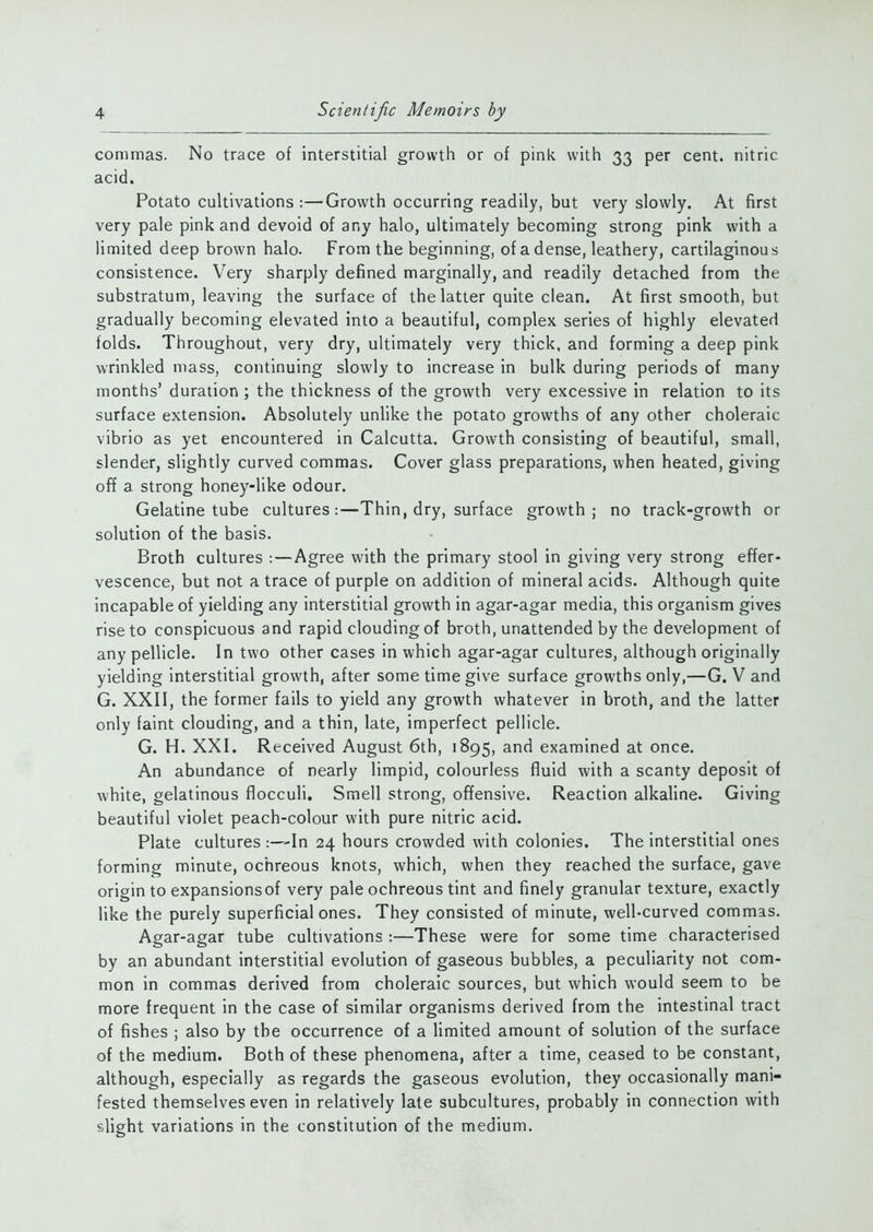 commas. No trace of interstitial growth or of pink with 33 per cent, nitric acid. Potato cultivations :—Growth occurring readily, but very slowly. At first very pale pink and devoid of any halo, ultimately becoming strong pink with a limited deep brown halo. From the beginning, of a dense, leathery, cartilaginous consistence. Very sharply defined marginally, and readily detached from the substratum, leaving the surface of the latter quite clean. At first smooth, but gradually becoming elevated into a beautiful, complex series of highly elevated folds. Throughout, very dry, ultimately very thick, and forming a deep pink wrinkled mass, continuing slowly to increase in bulk during periods of many months’ duration ; the thickness of the growth very excessive in relation to its surface extension. Absolutely unlike the potato growths of any other choleraic vibrio as yet encountered in Calcutta. Growth consisting of beautiful, small, slender, slightly curved commas. Cover glass preparations, when heated, giving off a strong honey-like odour. Gelatine tube cultures:—Thin, dry, surface growth; no track-growth or solution of the basis. Broth cultures : — Agree with the primary stool in giving very strong effer- vescence, but not a trace of purple on addition of mineral acids. Although quite incapable of yielding any interstitial growth in agar-agar media, this organism gives rise to conspicuous and rapid clouding of broth, unattended by the development of any pellicle. In two other cases in which agar-agar cultures, although originally yielding interstitial growth, after some time give surface growths only,—G. V and G. XXII, the former fails to yield any growth whatever in broth, and the latter only faint clouding, and a thin, late, imperfect pellicle. G. H. XXI. Received August 6th, 1895, and examined at once. An abundance of nearly limpid, colourless fluid with a scanty deposit of white, gelatinous flocculi. Smell strong, offensive. Reaction alkaline. Giving beautiful violet peach-colour with pure nitric acid. Plate cultures - In 24 hours crowded with colonies. The interstitial ones forming minute, ochreous knots, which, when they reached the surface, gave origin to expansionsof very pale ochreous tint and finely granular texture, exactly like the purely superficial ones. They consisted of minute, well-curved commas. Agar-agar tube cultivations :—These were for some time characterised by an abundant interstitial evolution of gaseous bubbles, a peculiarity not com- mon in commas derived from choleraic sources, but which would seem to be more frequent in the case of similar organisms derived from the intestinal tract of fishes ; also by the occurrence of a limited amount of solution of the surface of the medium. Both of these phenomena, after a time, ceased to be constant, although, especially as regards the gaseous evolution, they occasionally mani- fested themselves even in relatively late subcultures, probably in connection with slight variations in the constitution of the medium.