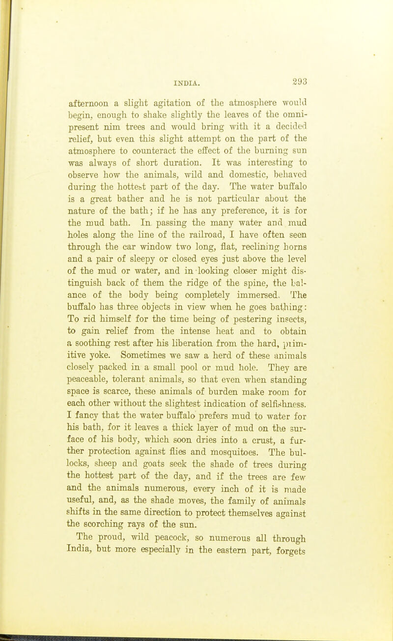afternoon a slight agitation of the atmosphere woukl begin, enough to shake slightly the leaves of the omni- present nim trees and would bring with it a decided relief, but even this slight attempt on the part of the atmospliere to counteract the effect of the burning sun was alwaj's of short duration. It was interesting to observe how the animals, wild and domestic, behaved during the hotte&t pai't of the day. The water buffalo is a great bather and he is not particular about the nature of the bath; if he has any preference, it is for the mud bath. In passing the many water and mud holes along the line of the railroad, I have often seen through the car window two long, flat, reclining horns and a pair of sleepy or closed eyes just above the level of the mud or water, and in looking closer might dis- tinguish back of them the ridge of the spine, the bal- ance of the body being completely immersed. The buffalo has three objects in view when he goes bathing: To rid himself for the time being of pestering insects, to gain relief from the intense heat and to obtain a soothing rest after his liberation from the hard, piim- itive yoke. Sometimes we saw a herd of these animals closely packed in a small pool or mud hole. They are peaceable, tolerant animals, so that even when standing space is scarce, these animals of burden make room for each other without the slightest indication of selfinhness. I fancy that the water buffalo prefers mud t.o water for his bath, for it leaves a thick layer of mud on the sur- face of his body, which soon dries into a crust, a fur- ther protection against flies and mosquitoes. The bul- locks, sheep and goats seek the shade of trees during the hottest part of the day, and if the trees are few and the animals numerous, every inch of it is made useful, and, as the shade moves, the family of animals shifts in the same direction to protect themselves against the scorching rays of the sun. The proud, wild peacock, so numerous all through India, but more especially in the eastern part, forgets