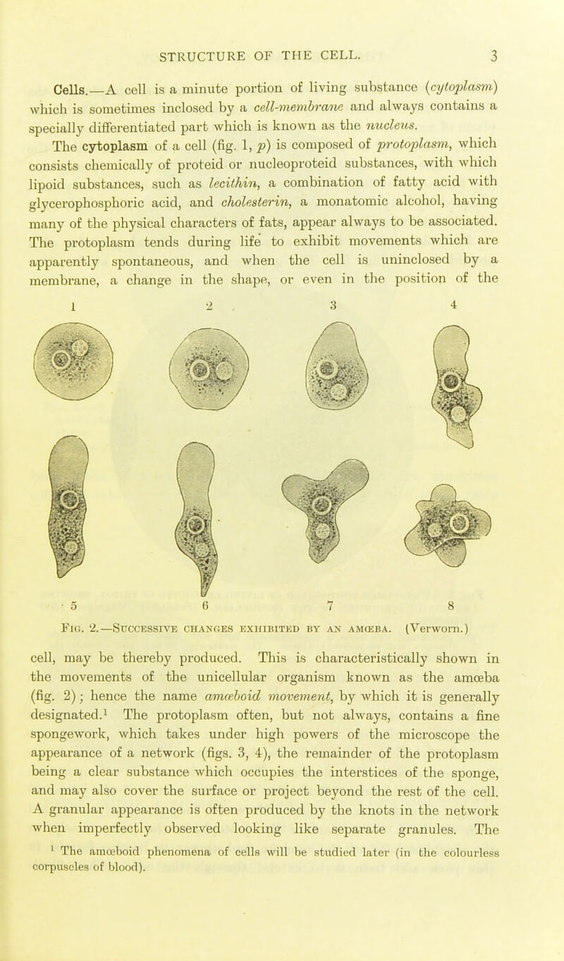 Cells.—A cell is a minute portion of living substance {cytoplasm) which is sometimes inclosed by a cell-membrano and always contains a specially diiferentiated part which is known as the nucleus. The cytoplasm of a cell (fig. 1, ^) is composed of proto^dasm, which consists chemically of proteid or nucleoproteid substances, with which lipoid substances, such as lecithin, a combination of fatty acid with glycerophosphoric acid, and cholesterin, a monatomic alcohol, having many of the physical characters of fats, appear always to be associated. The protoplasm tends during life to exhibit movements which are apparently spontaneous, and when the cell is uninclosed by a membrane, a change in the shape, or even in the position of the 1 2 3 4 •5 6 7 8 Fig. 2.—Successive changes exhibited by an amceba. (Verworn.) cell, may be thereby produced. This is characteristically shown in the movements of the unicellular organism known as the amceba (fig. 2); hence the name amcehoid movement, by which it is generally designated.! The protoplasm often, but not always, contains a fine spongework, which takes under high powers of the microscope the appearance of a network (figs. 3, 4), the remainder of the protoplasm being a clear substance which occupies the interstices of the sponge, and may also cover the surface or project beyond the rest of the cell. A granular appearance is often produced by the knots in the network when imperfectly observed looking like separate granules. The ' The anueboid phenomena of cells will be studied later (in the colourless coi-puscles of blood).