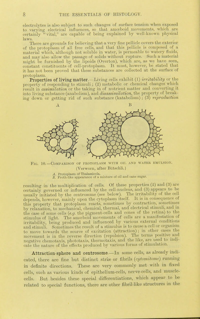 electrolytes is also subject to such changes of surface tension when exposed to varying electrical iutlueuces, so that aniteboid movements, which are certainly vital, are capable of being explained by well-known physical laws. Thei'e aie gi'ouuds for believing that a very fine pellicle covers the exterior of the protoplasm of all free cells, and that this pellicle is composed of a material which, although not soluble in water, is permeable to watery fluids, and may also allow the passage of solids without rupture. Such a material might be furnished by the lipoids (Overton), which are, as we have seen, constant constituents of cell-protoplasm. It must, however, be stated that it has not been proved that these substances are collected at the sui-face of protoplasm. Properties of living matter.—Living cells exhibit (1) irritability or the property of responding to stimuli ; (2) metabolic or chemical changes which result in assivii/ation or the taking in of nutrient matter and converting it into living substance (anabolism), and disassimilation, the property of break- ing down or getting rid of such substance (katabolism); (3) reproduction A B Fig. 10.—Comparison op protoplasm with oil and water emulsion. (Verworn, after Biitschli.) A. Protoplasm of Thalassioola. B. Froth-like appearance of a mixture of oil and cane sugar. resulting in the multiplication of cells. Of these properties (2) and (3) are certainly governed or influenced by the cell-nucleus, and (3) appears to be usually initiated by the centrosome (see below). The iiritability of the cell depends, however, mainly upon the cytoplasm itself. It is in consequence of this property that protoplasm reacts, sometimes by contraction, sometimes by relaxation, to mechanical, chemical, thermal, and electrical stimuli, and in the case of some cells {e.g. the pigment-cells and cones of the retina) to the stimulus of light. The ama?boid movements of cells are a mamfestatiou of iiritability, being produced and influenced by various external conditions and stimuli. Sometimes the result of a stimulus is to ciiuse a cell or organism to move towards the source of excitation (attraction) ; in other Cii.ses the movement is in the reverse direction (repulsion). The terms positive and negative chemotaxis, phototaxis, thermotaxis, and the like, are used to indi- cate the nature of the efl'ects produced by vai-ious forms of stimulation. Attraction-sphere and eentrosome.—In some cells, as alreadj' indi- cated, there are fine but distinct striiu or fibrils {q/tomitome) running in definite directions. The.se are very commonly met with in fixed cells, such as various kinds of epitlielium-cells, nerve-cells, and muscle- cells. But besides the.se special difterentiations, which appear to be related bo special functions, there are other fibril-like structures in the