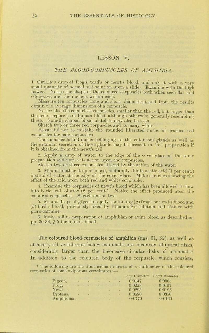 LESSON V. THE BLOOD-CORPUSCLES OF AMPHIBIA. 1. Obtain a cli-op of frog's, toad's or newt's blood, and mix it with a vei-y small quantity of normal salt solution u]3on a slide. Examine with the high power. Notice the shape of the coloui'ed corpuscles both when seen flat and edgeways, and the nucleus within each. Measure ten corpuscles (long and short diameters), and from the results obtain the avei'age dimensions of a coi-puscle. Notice also the colourless corpuscles, smaller than the red, but larger than the pale corpuscles of human blood, although otherwise generally i-esenibling these. Spindle-shaped blood-platelets may also be .seen. Sketch two or three red corpuscles and as many white. Be careful not to mistake the rounded liberated nuclei of crushed red corpuscles for pale corpuscles. Enormous cells and nuclei belonging to the cutaneous gland.s as well as the granular secretion of those glands may be present in this preparation if it is obtained from the newt's tail. '2. Apply a drop of water to the edge of the cover-glass of the same preparation and notice its action upon the corpuscles. Sketch two or three corpuscles altered by the action of the water. 3. Mount another drop of blood, and apply dilute acetic acid (1 per cent.) instead of water at the edge of the cover-glass. Make sketches showing the elfect of the acid upon both red and white corpuscles. •4. Examine the corpuscles of newt's blood which has been allowed to flow into boric acid solution (2 per cent.). Notice the effect produced upon the coloured corpuscles. Sketch one or two. 5. Mount drops of glycerine-jelly containing (a) frog's or newt's blood and (6) bird's blood, previously fixed by Flemming's solution and stained with picro-carraine. 6. Make a film preparation of amphibian or avine blood as described on pp. 30-32, § 5 for human blood. The coloured blood-corpuscles of ampMbia (figs. 61, 62), as well as of nearly all vertebrates below mammals, are biconvex elliptical disks, considerably larger than the biconcave circular disks of mammals.' In addition to the coloured body of the corpuscle, which consists, ' The following arc the dimensions in parts of a millimeter of the coloured corpuscles of some oviparous vertebrates :— Long Diameter. Short Diameter. Pigeon, 00147 0 0065 Frog, OCiSS 0-0157 Newt, 0029.3 0-0195 Proteus, 0-0580 (l-(i;i,-)0 Amphiunia. (1-0770 0 0460