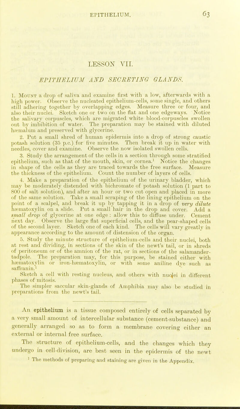 LESSON VII. EFITHELIUM AND SECRETING GLANDS. \. Mount a drop of saliva and examine first with a low, afterwards witli a high power. Observe the nucleated epitheliuiu-cells, some single, and others still adhering together by overlapping edges. Measure three or four, and al.so their nuclei. Sketch one or two on the flat and one edgeways. Notice the .salivary corpuscles, whicli are migiated white blood-coipuscles swollen out by imbibition of water. The pieparation may be stained with diluted h;vmalum and pi'eserved with glyceiine. 2. Put a small shred of human epidermis into a diop of strong caustic potash solution (35 p.c.) for five minutes. Then break it up in water with needle.s, cover and examine. Observe the now isolated swollen cells. 3. Study the arrangement of the cells in a section through some stratified epithelium, such as that of the mouth, skin, oi' cornea.' Notice the changes in shape of the cells as they are traced towards the free surface. Measure the thickness of the epithelium. Count the number of layers of cells. 4. Make a preparation of the epithelium of the urinary bladdei', which may be modeiately distended with bichromate of potash .solution (1 jjai t to 800 of .salt solution), and after an houi' or two cut open and placed in more (if the same solution. Take a small scraping of the lining epithelium on the point of a scalpel, and break it up by tapping it in a drop of very dilute liii'inatoxylin on a slide. Put a small hair in the diop and cover. Add a small drop of glycerine at one edge : allow this to diffuse undei'. Cement next day. Ob.serve the large flat superficial cells, and the pear-shaped cells of the second layei'. Sketch one of each kind. The cells will vary greatly in appearance according to the amount of distension of the oi'gan. 5. Study the minute structure of epithelium-cells and their nuclei, both at rest and dividing, in .sections of the skin of the newt's tail, or in shreds of peritoneum or of the anniion of the rat, or in sections of the salamander- tadpole. The preparation may, for this purpose, be stained either with hcBmatoxylin or iron-luematoxylin, or with some aniline dye such as safl'ranin.' Sketch a cell with re.sting nucleu.s, and others with nuclei in different phases of mitosis. The simpler saccular skin-glands of Amphibia may also be studied in preparations fiom the newt's tail. An epithelium is a tissue composed entirely of cells separated by a very small amount of intercellular substance (cement-substance) and generally arranged so as to form a membrane covering either an external or internal free surface. The structure of epitheUum-cells, and the changes which they undergo in cell-division, are best seen in the epidermis of the newt ' The methods of preparing and staining are given in the Appendix.