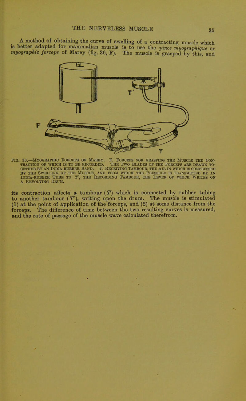 36 A method of obtaining the curve of swelling of a contracting muscle which is better adapted for mammalian muscle is to use the pince myographique or myographic forceps of Marey (fig. 36, F). The muscle is grasped by this, and F Pig. 36.—^Myogbaphio Forceps op Marey. F, Forceps ik)r grasping the Muscle the Con- traction OP WHICH IS TO BE RECORDED. THE TWO BLADES OP THE FORCEPS ARE DRAWN TO- GETHER BY AN INDU-RUBBER BAND. T, EECEIVING TAMBOUR, THE AIR IN WHICH IS COMPRESSED BY THE Swelling op the Muscle, and prom which the Pressure is transmitted by an INDIA-RUBBER TUBE TO T', THE RECORDING TAMBOUR, THE LEVER OP WmCH WRITES ON A REVOLVING DRUM. its contraction affects a tambour {T) which is connected by rubber tubing to another tambour {T'), writing upon the drum. The muscle is stimulated (1) at the point of application of the forceps, and (2) at some distance from the forceps. The difference of time between the two resulting curves is measured, and the rate of passage of the muscle wave calculated therefrom.