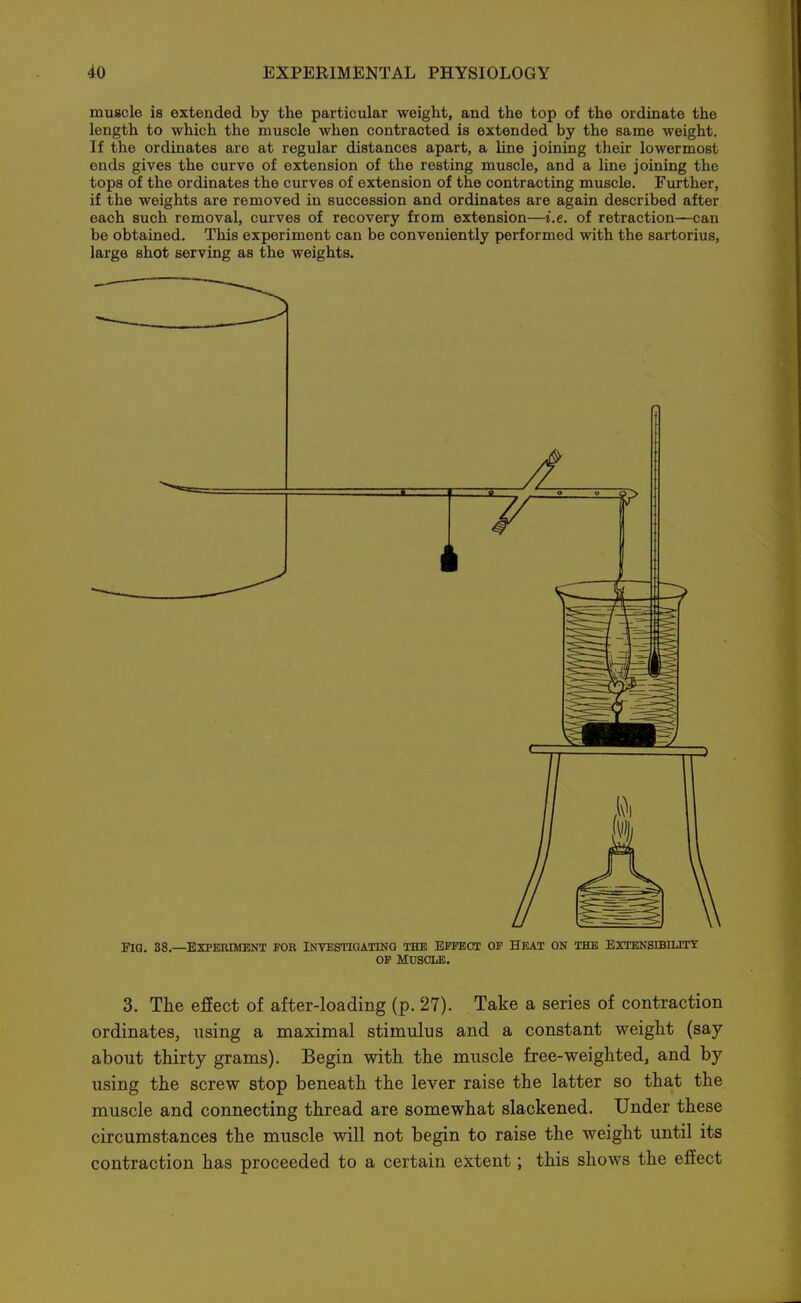 muscle is extended by the particular weight, and the top of the ordinate the length to which the muscle when contracted is extended by the same weight. If the ordinates are at regular distances apart, a line joining their lowermost ends gives the curve of extension of the resting muscle, and a line joining the tops of the ordinates the curves of extension of the contracting muscle. Further, if the weights are removed in succession and ordinates are again described after each such removal, curves of recovery from extension—i.e. of retraction—can be obtained. This experiment can be conveniently performed with the sartorius, largo shot serving as the weights. Fia. 38.—EXPERIMBNT FOR iNVESTiaATINO THE EFFECT OF HEAT ON THE EXTENSmiLrTY OF Muscle. 3. The effect of after-loading (p. 27). Take a series of contraction ordinates, using a maximal stimulus and a constant weight (say about thirty grams). Begin with the muscle free-weighted, and by using the screw stop beneath the lever raise the latter so that the muscle and connecting thread are somewhat slackened. Under these circumstances the muscle will not begin to raise the weight until its contraction has proceeded to a certain extent; this shows the effect