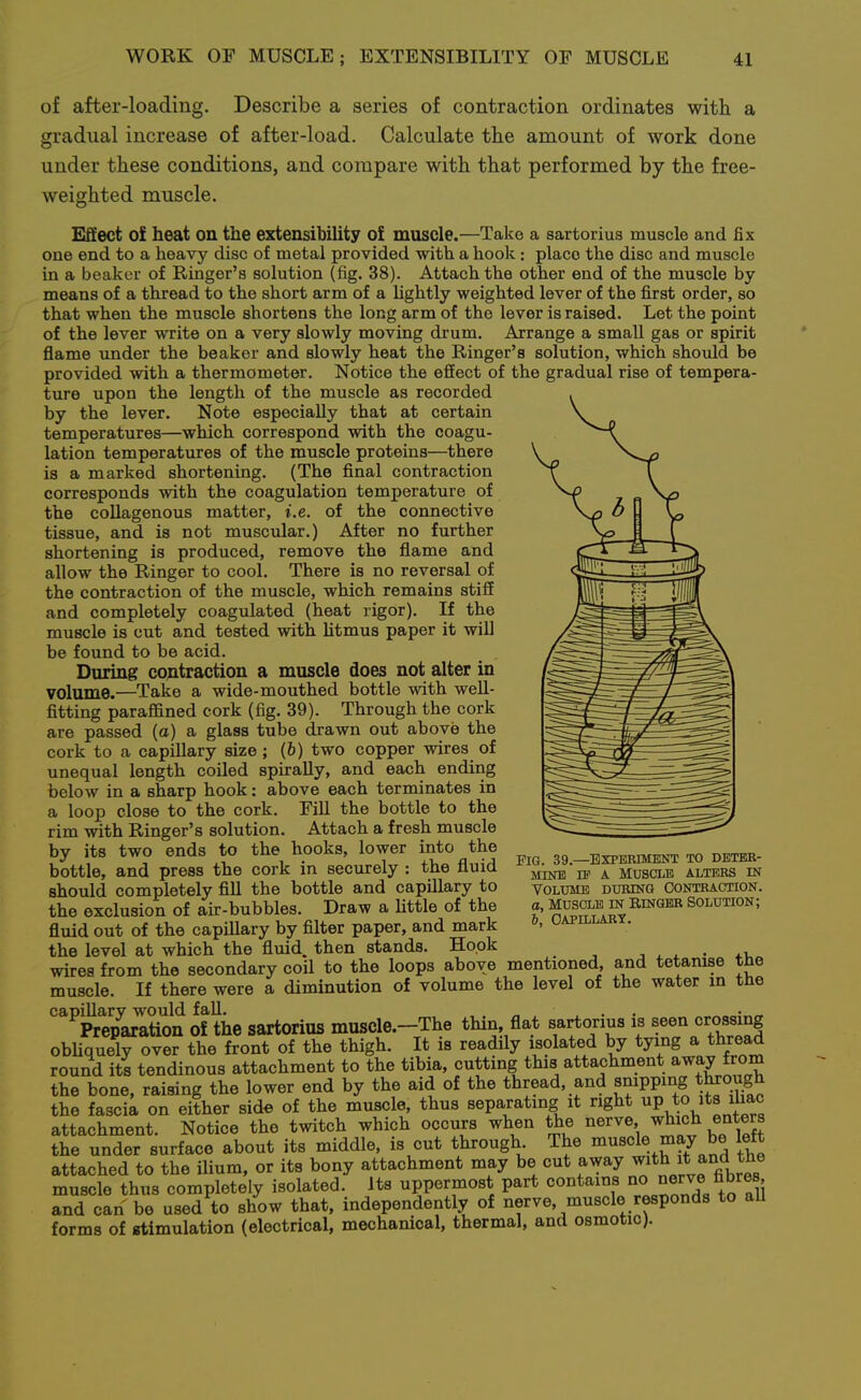 of after-loading. Describe a series of contraction ordinates with a gradual increase of after-load. Calculate the amount of work done under these conditions, and compare with that performed by the free- weighted muscle. Effect o£ heat on the extensibility of muscle.—Take a sartorius muscle and fix one end to a heavy disc of metal provided with a hook ; place the disc and muscle in a beaker of Ringer's solution (fig. 38). Attach the other end of the muscle by- means of a thread to the short arm of a hghtly weighted lever of the first order, so that when the muscle shortens the long arm of the lever is raised. Let the point of the lever write on a very slowly moving drum. Arrange a small gas or spirit flame under the beaker and slowly heat the Ringer's solution, which should be provided with a thermometer. Notice the effect of the gradual rise of tempera- ture upon the length of the muscle as recorded by the lever. Note especially that at certain temperatures—which correspond with the coagu- lation temperatures of the muscle proteins—there is a marked shortening. (The final contraction corresponds with the coagulation temperature of the collagenous matter, i.e. of the connective tissue, and is not muscular.) After no further shortening is produced, remove the flame and allow the Ringer to cool. There is no reversal of the contraction of the muscle, which remains stiff and completely coagulated (heat rigor). If the muscle is cut and tested with htmus paper it will be found to be acid. During contraction a muscle does not alter in volume.—Take a wide-mouthed bottle with weU- fitting paraffined cork (fig. 39). Through the cork are passed (a) a glass tube drawn out above the cork to a capillary size; (b) two copper wires of unequal length coiled spirally, and each ending below in a sharp hook: above each terminates in a loop close to the cork. FiU the bottle to the rim with Ringer's solution. Attach a fresh muscle by its two ends to the hooks, lower into the bottle, and press the cork in securely : the fluid should completely fill the bottle and capillary to the exclusion of air-bubbles. Draw a little of the fluid out of the capillary by filter paper, and mark the level at which the flmd. then stands. Hook , x 4. • 4.1, wires from the secondary coil to the loops above mentioned, and tetanise tne muscle. If there were a diminution of volume the level of the water in tHe capillarv would fall. „ . . • ^ Preparation of the sartorius muscle.-The thin, flat sartorius is seen crossing obUquely over the front of the thigh. It is readily isolated by tying a thread round its tendinous attachment to the tibia, cutting this attachment away from the bone, raising the lower end by the aid of the thread, and snipping through the fascia on either side of the muscle, thus separating it right «P « attachment. Notice the twitch which occurs when the nerve, which enters the under surface about its middle, is cut through The muscle may be left attached to the ilium, or its bony attachment may be cut away ^^^^ f^^^^^^^^ muscle thus completely isolated. Its uppermost part ««<^^^f^f ^^f/.^'S and can be used to show that, independently of nerve, muscle responds to aU forms of stimulation (electrical, mechanical, thermal, and osmotic). Pig. 39.—Experiment to deteb- MiNB IF A Muscle alters in Volume during contraction. a, Muscle in Ringer Solution; 6, capillary.