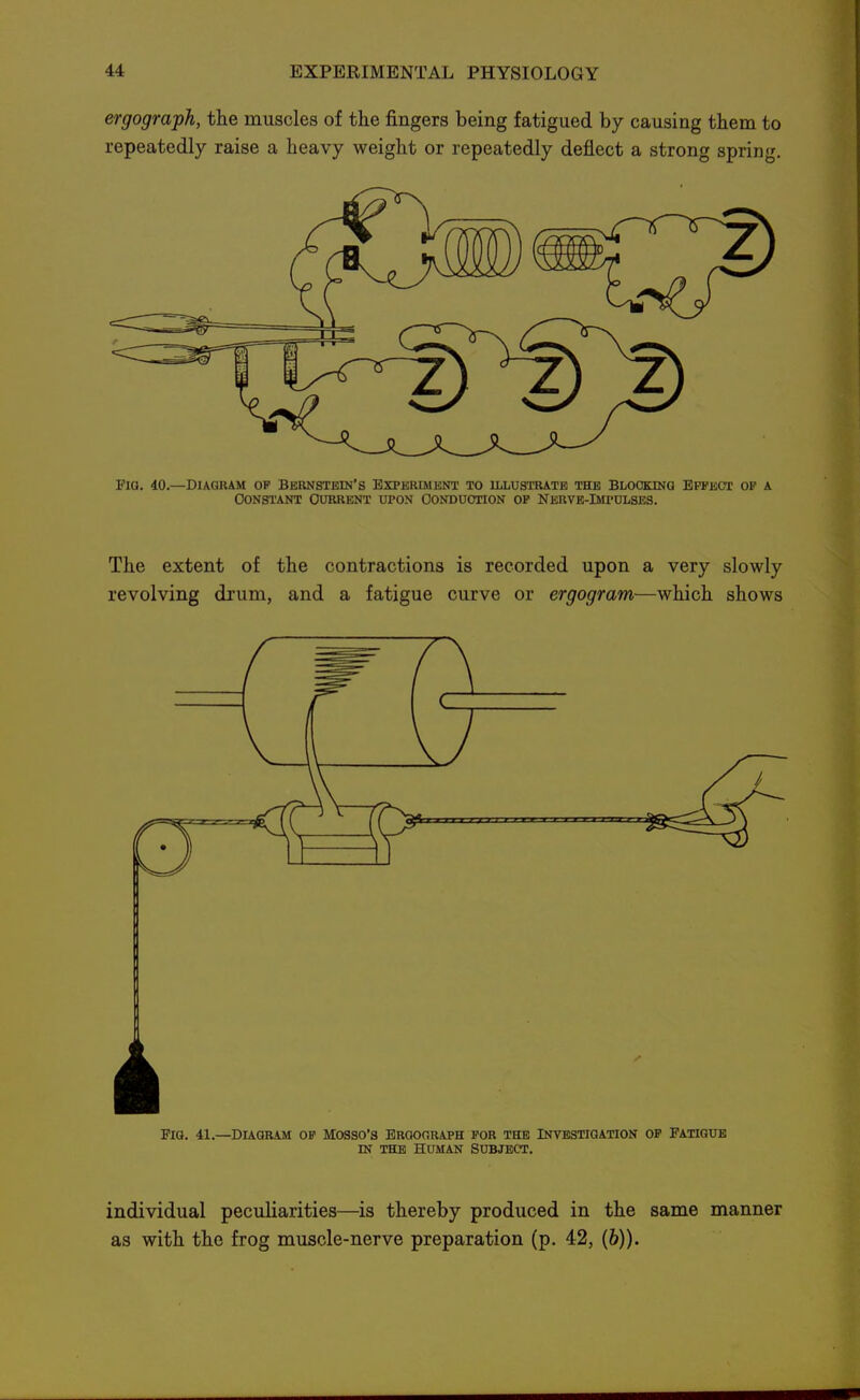 ergograph, the muscles of the fingers being fatigued by causing them to repeatedly raise a heavy weight or repeatedly deflect a strong spring. Pia. 40.—Diagram op Bernstein's Experiment to illustrate the Blocking Effect of a Constant Current upon Conduction op Nerve-Impulses. The extent of the contractions is recorded upon a very slowly revolving drum, and a fatigue curve or ergogram—which shows k Pig. 41.—Diagram op Mosso's Ergograph for the Investigation op Fatigue IN THE Human Subject. individual peculiarities—^is thereby produced in the same manner as with the frog muscle-nerve preparation (p. 42, (6)).