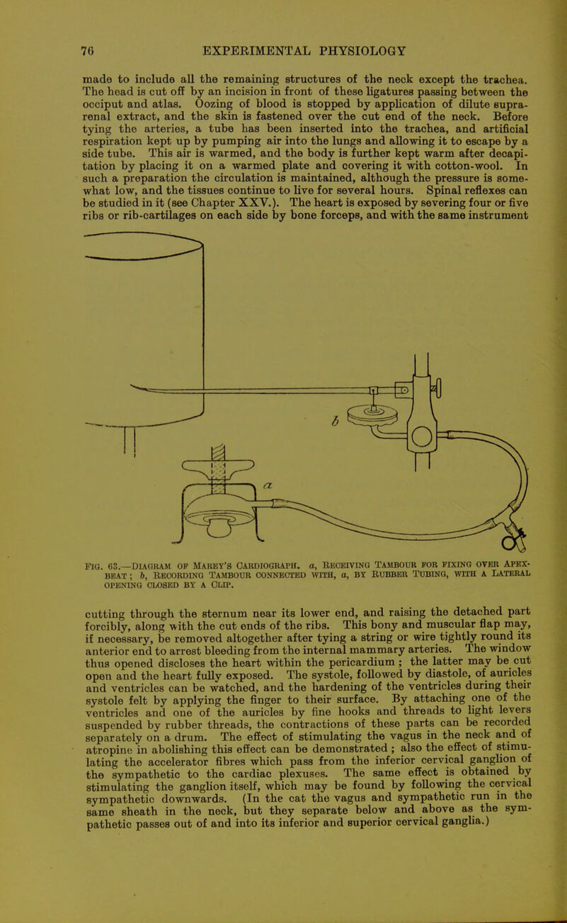 made to include all the remaining structures of the neck except the trachea. The head is cut off by an incision in front of these ligatures passing between the occiput and atlas. Oozing of blood is stopped by appUcation of dilute supra- renal extract, and the skin is fastened over the cut end of the neck. Before tying the arteries, a tube has been inserted into the trachea, and artificial respiration kept up by pumping air into the lungs and allowing it to escape by a side tube. This air is warmed, and the body is further kept warm after decapi- tation by placing it on a warmed plate and covering it with cotton-wool. In such a preparation the circulation is maintained, although the pressure is some- what low, and the tissues continue to live for several hours. Spinal reflexes can be studied in it (see Chapter XXV.). The heart is exposed by severing four or five ribs or rib-cartilages on each side by bone forceps, and with the same instrument Pia. 63.—DIAGRAM OP MAREY'S CARDIOGRAPH. O, BEOEIVINa TASIBOUR FOR FIXING OVER APEX- BEAT ; &, BECORDING TAJtBOUR CONNECTBD ^VITH, O, BY RUBBER TUBING, WTIU A LATERAL OPENma OliOSED BY A CLIP. cutting through the sternum near its lower end, and raising the detached part forcibly, along with the cut ends of the ribs. This bony and muscular flap may, if necessary, be removed altogether after tying a string or wire tightly round its anterior end to arrest bleeding from the internal mammary arteries. The window thus opened discloses the heart within the pericardium ; the latter may be cut open and the heart fully exposed. The systole, followed by diastole, of auricles and ventricles can be watched, and the hardening of the ventricles during their systole felt by applying the finger to their surface. By attaching one of the ventricles and one of the auricles by fine hooks and threads to hght levers suspended by rubber threads, the contractions of these parts can be recorded separately on a drum. The effect of stimulating the vagus in the neck and of atropine in abolishing this effect can be demonstrated ; also the effect of stimu- lating the accelerator fibres which pass from the inferior cervical ganglion of the sympathetic to the cardiac plexuses. The same effect is obtained by stimulating the ganglion itself, which may be found by following the cervical sympathetic downwards. (In the cat the vagus and sympathetic run in the same sheath in the neck, but they separate below and above as the sym- pathetic passes out of and into its inferior and superior cervical ganglia.)