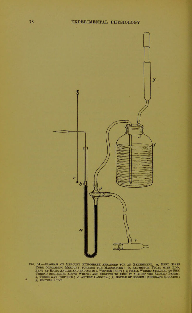 Pia. 64.—Diagram of Merodby Kymograph arranged pgr an Experiment, o, Bent Glass Tube containing Mercury forming the Manometer ; 6, AiUMiNiuM Float vfith Eod, BENT AT Right Angles and ending in a WRrriNa point ; c, small Weight attached to Silk Thread suspended above Writer and Serving to keep rr against the Smoked Paper ; d, Three-way Stopcock ; e, artery Cannula ; /, Bottle op Sodium Carbonate Solution ; g, Bicycle Pump.