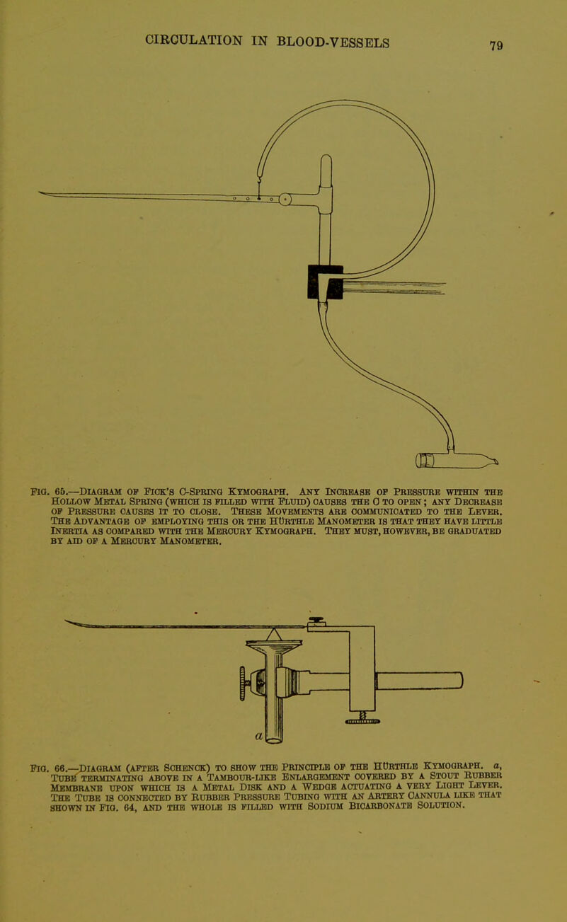 > Fia. 66.—DIAGRAM OP FICK'S O-SPRESTG KYMOGRAPH, ANT INCBBASB OP PRESSURE WITHIN- THE HOLLOW Metal Spring (which is pilled with Fluid) causes the 0 to open ; ant Decrease op pressure causes it to close. these movements are communicated to the lever. Tece Advantage op emploting this or the hUrthle Manometer is that they have little INERTU AS compared WITH THE MEROURT KYMOGRAPH. THET MUST, HOWEVER, BE GRADUATED BT AID OP A Mercury manometer. I ) Fig. 66.—Diagram (after Sohbnok) to show the Principle op the hOrthlb Kymograph, o. Tube TERinNATma above in a tambour-like enlargement covered by a Stoot Rubber Membrane upon which is a Metal Disk and a Wedge actuating a very Light Lever. The Tube is connected by Rubber Pressure Tubing with an Artery Cannula like that shown in pio. 64, and the whole is pilled with sodium bicarbonate solution.