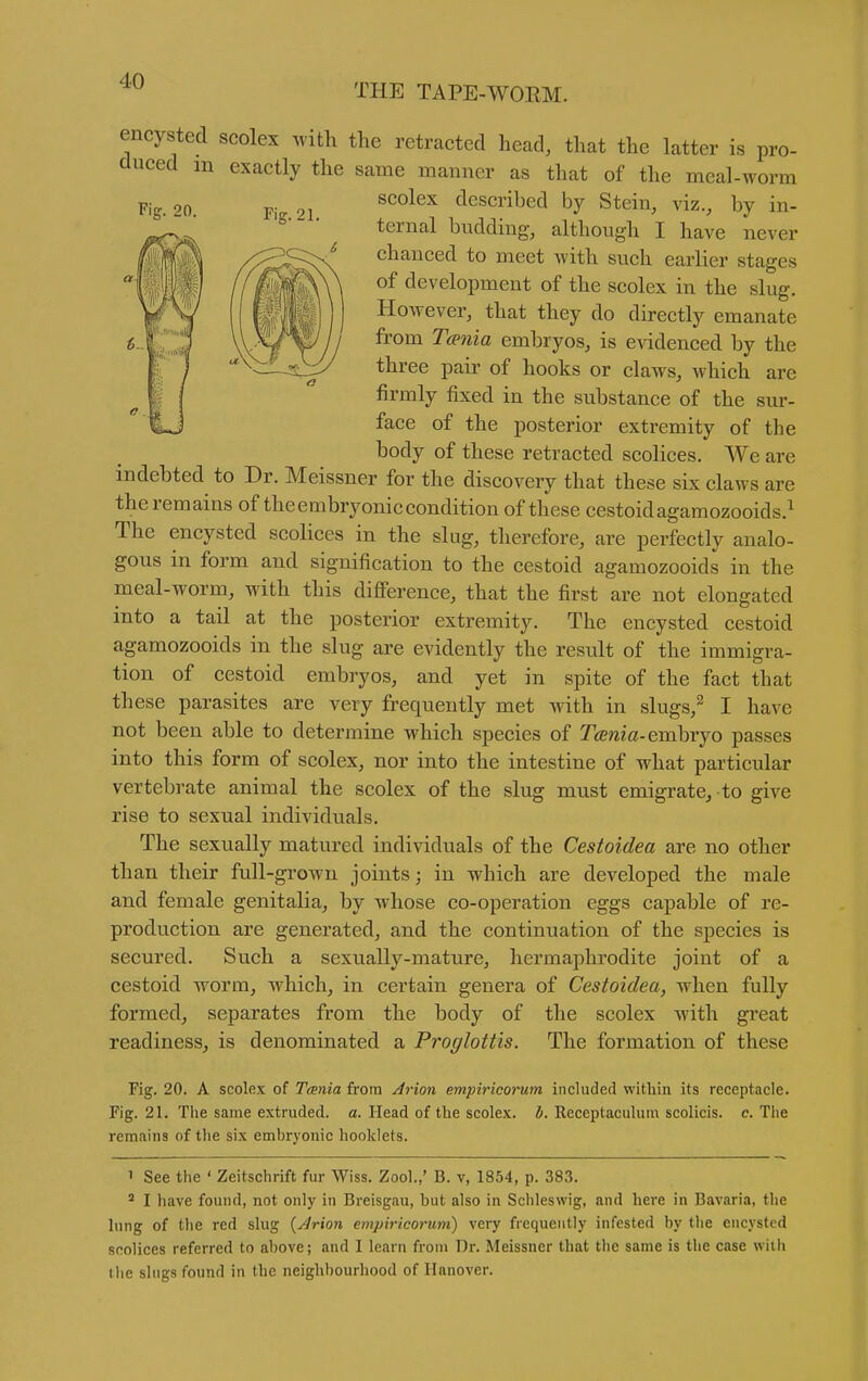 THE TAPE-WOEM. Fig. 20. Fig. 21. encysted scolex with the retracted head, that the latter is pro- duced m exactly the same manner as that of the meal-worm scolex described by Stein, viz., by in- ternal budding, although I have never chanced to meet with such earlier stages of development of the scolex in the slug. However, that they do directly emanate from T(pnia embryos, is e^ddenced by the three pair of hooks or claws, which are firmly fixed in the substance of the sur- face of the posterior extremity of the body of these retracted scolices. We are indebted to Dr. Meissner for the discovery that these six claws are the remains of the embryonic condition of these cestoid agamozooids.^ The encysted scolices in the slug, therefore, are perfectly analo- gous in form and signification to the cestoid agamozooids in the meal-worm, with this diSerence, that the first are not elongated into a tail at the posterior extremity. The encysted cestoid agamozooids in the slug are evidently the result of the immigra- tion of cestoid embryos, and yet in spite of the fact that these parasites are very frequently met with in slugs,^ I have not been able to determine which species of Tfewm-embryo passes into this form of scolex, nor into the intestine of what particular vertebrate animal the scolex of the slug must emigrate, to give rise to sexual individuals. The sexually matured individuals of the Cestoidea are no other than their full-grown joints; in which are developed the male and female genitalia, by whose co-operation eggs capable of re- production are generated, and the continuation of the species is secured. Such a sexually-mature, hermaphrodite joint of a cestoid worm, which, in certain genera of Cestoidea, when fully formed, separates from the body of the scolex with great readiness, is denominated a Proglottis. The formation of these Fig. 20. A scolex of Tcetiia from Avion empiricorum included within its receptacle. Fig. 21. The same extruded, a. Head of the scolex. b. Receptaculum scolicis. c. The remains of the six embryonic hooklets. 1 See the ' Zeitschrift fur Wiss. Zool.,' B. v, 1854, p. 383. ' I have found, not only in Breisgau, but also in Schleswig, and here in Bavaria, the lung of the red slug {jJrion empiricorum) very frequently infested by the encysted scolices referred to above; and I learn from Dr. Meissner that the same is the case with ilie slugs found in the neighbourhood of Hanover.