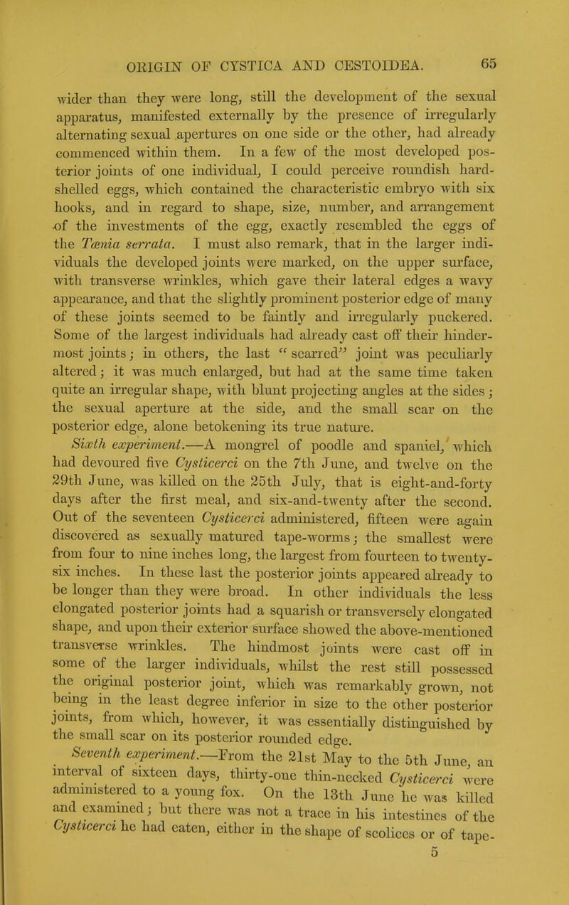 wider than they were long, still the development of the sexual apparatus, manifested externally by the presence of irregularly alternating sexual apertures on one side or the other, had already commenced within them. In a few of the most developed pos- terior joints of one individual, I could perceive roundish hard- shelled eggs, which contained the characteristic embryo with six hooks, and in regard to shape, size, number, and arrangement of the investments of the egg, exactly resembled the eggs of the Tarda strrata. I must also remark, that in the larger indi- viduals the developed joints were marked, on the upper surface, with transverse wrinkles, which gave their lateral edges a wavy appearance, and that the slightly prominent posterior edge of many of these joints seemed to be faintly and irregularly puckered. Some of the largest individuals had already cast off their hinder- most joints; in others, the last  scarred^^ joint was peculiarly altered; it was much enlarged, but had at the same time taken quite an irregular shape, with blunt projecting angles at the sides ; the sexual aperture at the side, and the small scar on the posterior edge, alone betokening its true natui^e. Sixth experiment.—A mongrel of poodle and spaniel, which had devoured five Cysticerci on the 7th June, and twelve on the 29th June, was killed on the 25th July, that is eight-and-forty days after the first meal, and six-and-twenty after the second. Out of the seventeen Cysticerci administered, fifteen were again discovered as sexually matured tape-worms; the smallest were from four to nine inches long, the largest from fourteen to twenty- six inches. In these last the posterior joints appeared already to be longer than they were broad. In other individuals the less elongated posterior joints had a squarish or transversely elongated shape, and upon their exterior surface showed the above-mentioned transverse wrinkles. The hindmost joints were cast off in some of the larger individuals, whilst the rest still possessed the original posterior joint, which was remarkably grown, not being in the least degree inferior in size to the other posterior jomts, from which, however, it was essentially distinguished by the small scar on its posterior rounded edge. Seventh experiment.—From the 21st May to the 5th June an mterval of sixteen days, thirty-one thin-necked Cysticerci were administered to a young fox. On the 13th June he was killed and examined; but there was not a trace in his intestines of the Cysticerci he had eaten, either in the shape of scolices or of tape-