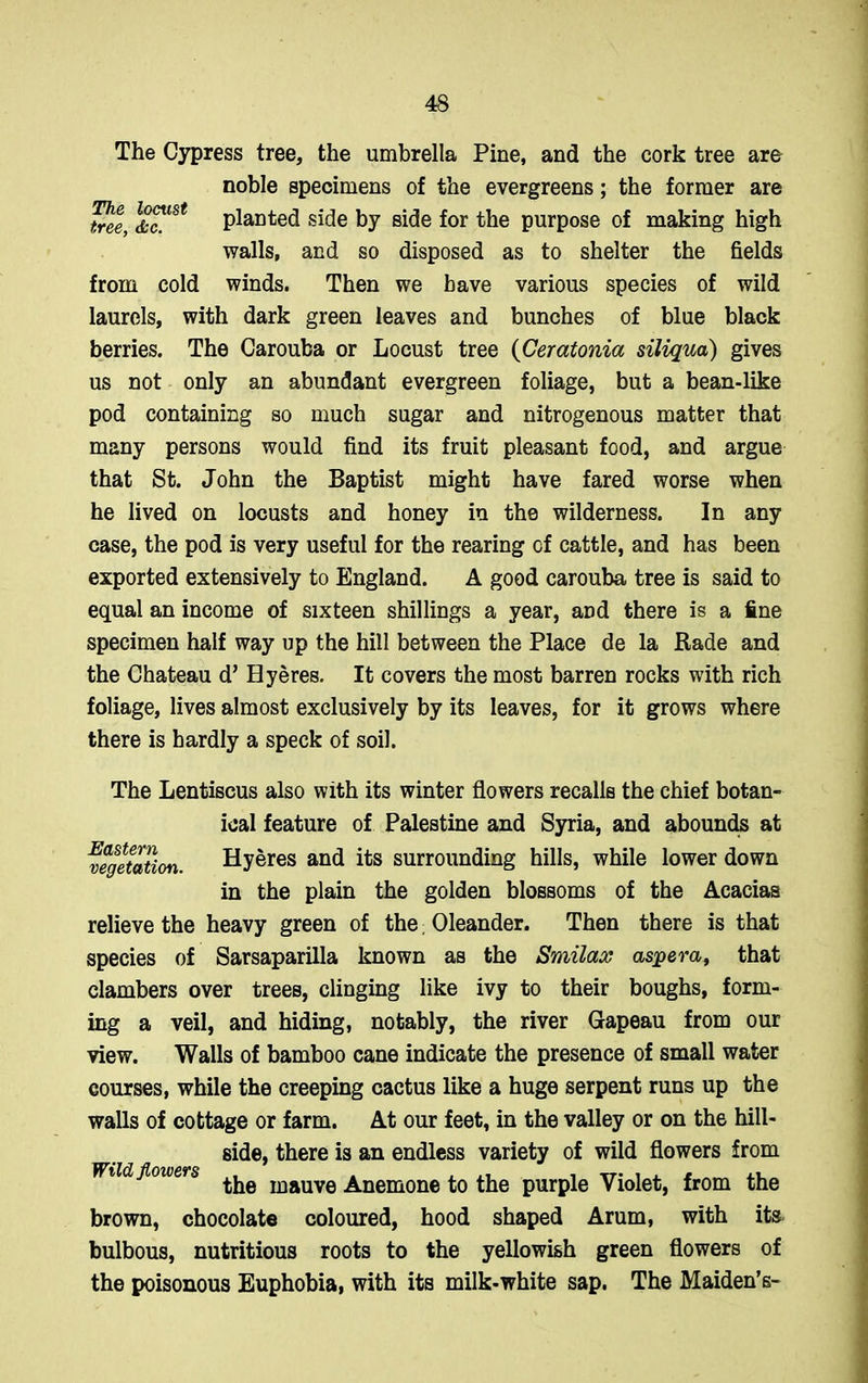 The Cypress tree, the umbrella Pine, and the cork tree are noble specimens of the evergreens; the former are tree, &c!lSt planted side by side for the purpose of making high walls, and so disposed as to shelter the fields from cold winds. Then we have various species of wild laurels, with dark green leaves and bunches of blue black berries. The Carouba or Locust tree (Ceratonia siliqua) gives us not only an abundant evergreen foliage, but a bean-like pod containing so much sugar and nitrogenous matter that many persons would find its fruit pleasant food, and argue that St. John the Baptist might have fared worse when he lived on locusts and honey in the wilderness. In any case, the pod is very useful for the rearing of cattle, and has been exported extensively to England. A good carouba tree is said to equal an income of sixteen shillings a year, and there is a fine specimen half way up the hill between the Place de la Bade and the Chateau d’ Hyeres. It covers the most barren rocks with rich foliage, lives almost exclusively by its leaves, for it grows where there is hardly a speck of soil. The Lentiscus also with its winter flowers recalls the chief botan- ical feature of Palestine and Syria, and abounds at Vegetation. Hyeres and its surrounding hills, while lower down in the plain the golden blossoms of the Acacias relieve the heavy green of the Oleander. Then there is that species of Sarsaparilla known as the Smilax aspera, that clambers over trees, clinging like ivy to their boughs, form- ing a veil, and hiding, notably, the river Gapeau from our view. Walls of bamboo cane indicate the presence of small water courses, while the creeping cactus like a huge serpent runs up the walls of cottage or farm. At our feet, in the valley or on the hill- side, there is an endless variety of wild flowers from Wild flowers mauVe Anemone to the purple Violet, from the brown, chocolate coloured, hood shaped Arum, with its bulbous, nutritious roots to the yellowish green flowers of the poisonous Euphobia, with its milk-white sap. The Maiden’s-