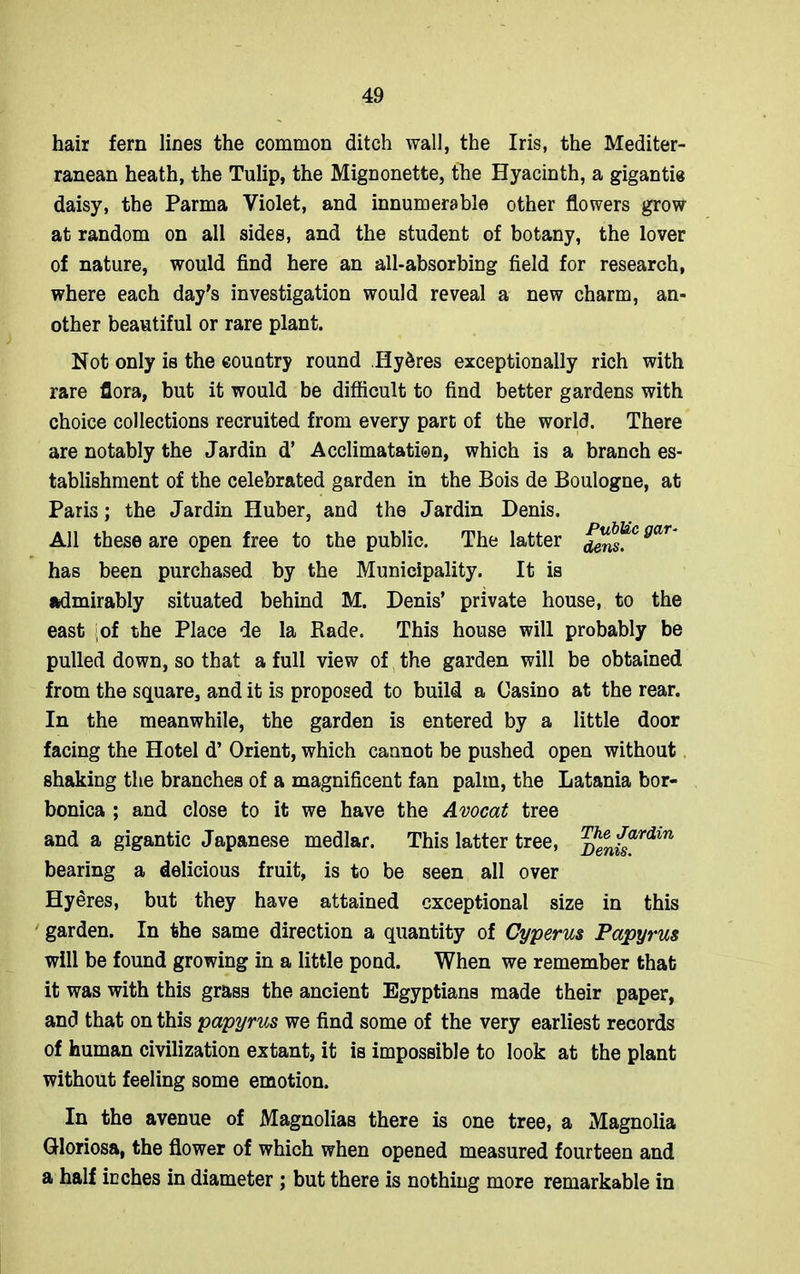 hair fern lines the common ditch wall, the Iris, the Mediter- ranean heath, the Tulip, the Mignonette, the Hyacinth, a gigantie daisy, the Parma Violet, and innumerable other flowers grow at random on all sides, and the student of botany, the lover of nature, would find here an all-absorbing field for research, where each day’s investigation would reveal a new charm, an- other beautiful or rare plant. Not only is the country round Hy&res exceptionally rich with rare flora, but it would be difficult to find better gardens with choice collections recruited from every part of the world. There are notably the Jardin d’ Acclimatatien, which is a branch es- tablishment of the celebrated garden in the Bois de Boulogne, at Paris; the Jardin Huber, and the Jardin Denis. All these are open free to the public. The latter densfC 9<lr has been purchased by the Municipality. It is admirably situated behind M. Denis’ private house, to the east of the Place de la Bade. This house will probably be pulled down, so that a full view of the garden will be obtained from the square, and it is proposed to build a Casino at the rear. In the meanwhile, the garden is entered by a little door facing the Hotel d’ Orient, which cannot be pushed open without shaking the branches of a magnificent fan palm, the Latania bor- bonica ; and close to it we have the Avocat tree and a gigantic Japanese medlar. This latter tree, ^eenfsardin bearing a delicious fruit, is to be seen all over Hyeres, but they have attained exceptional size in this garden. In the same direction a quantity of Cyperus Papyrus will be found growing in a little pond. When we remember that it was with this grass the ancient Egyptians made their paper, and that on this papyrus we find some of the very earliest records of human civilization extant, it is impossible to look at the plant without feeling some emotion. In the avenue of Magnolias there is one tree, a Magnolia Gloriosa, the flower of which when opened measured fourteen and a half inches in diameter ; but there is nothing more remarkable in