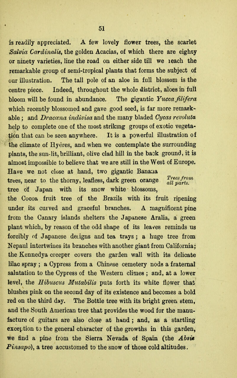 is readily appreciated. A few lovely flower trees, the scarlet Salvia Cardinalis, the golden Acacias, of which there are eighty or ninety varieties, line the road on either side till we leach the remarkable group of semi-tropical plants that forms the subject of our illustration. The tall pole of an aloe in full blossom is the centre piece. Indeed, throughout the whole district, aloes in full bloom will be found in abundance. The gigantic Yucca Jilifera which recently blossomed and gave good seed, is far more remark- able ; and Dracaena indivisa and the many bladed Cycas revoluta help to complete one of the most striking groups of exotic vegeta- tion that can be seen anywhere. It is a powerful illustration of the climate of Hyeres, and when we contemplate the surrounding plants, the sun-lit, brilliant, olive clad hill in the back ground, it is almost impossible to believe that we are still in the West of Europe. Have we not close at hand, two gigantic Banana trees, near to the thorny, leafless, dark green orange allparts™ tree of Japan with its snow white blossoms, the Cocoa fruit tree of the Brazils with its fruit ripening under its curved and graceful branches. A magnificent pine from the Canary islands shelters the Japanese Aralia, a green plant which, by reason of the odd shape of its leaves reminds us forcibly of Japanese designs and tea trays ; a huge tree from Nepaul intertwines its branches with another giant from California; the Kennedya creeper covers the garden wall with its delicate lilac spray ; a Cypress from a Chinese cemetery nods a fraternal salutation to the Cypress of the Western climes ; and, at a lower level, the Hibuscus Mutabilis puts forth its white flower that blushes pink on the second day of its existence and becomes a bold red on the third day. The Bottle tree with its bright green stem, and the South American tree that provides the wood for the manu- facture of guitars are also close at hand ; and, as a startling exception to the general character of the growths in this garden, we find a pine from the Sierra Nevada of Spain (the Absie Pinsapo), a tree accustomed to the snow of those cold altitudes.