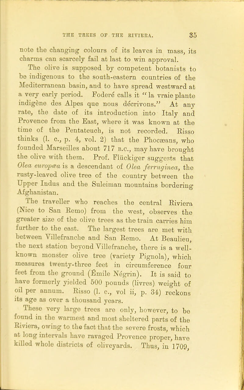 note the changing coloui-s of its leaves in mass, its charms can scarcely fail at last to win approval. The olive is supposed by competent botanists to be indigenous to the south-eastern countries of the Mediterranean basin, and to have spread westward at a very early period. Fodere calls it  la vraie plante indigene des Alpes que nous decrivons. At any rate, the date of its introduction into Italy and Provence from the East, where it was known at the time of the Pentateuch, is not recorded. Risso thinks (1. c, p. 4, vol. 2) that the Phocseans, who founded Marseilles about 717 B.C., may have brought the olive with them. Prof. Fliickiger suggests that Olea europcpa is a descendant of Olea ferruginea, the rusty-leaved olive tree of the country between the Upper Indus and the Suleiman mountains bordering Afghanistan. The traveller who reaches the central Riviera (Nice to San Remo) from the west, observes the greater size of the olive trees as the train carries him further to the east. The largest trees are met with between Villefranche and San Remo. At Beaulieu, the next station beyond Villefranche, there is a well- known monster olive tree (variety Pignola), which measures twenty-three feet in circumference four feet from the ground (Bmile Negrin). It is said to have formerly yielded 500 pounds (livres) weight of oil per annum. Risso (1. c, vol ii, p. 34) reckons its age as over a thousand years. These very large trees are only, however, to be found in the warmest and most sheltered parts of the Riviera, owing to the fact that the severe frosts, which at long intervals have ravaged Provence proper, have killed whole districts of oliveyards. Thus, in 1709,
