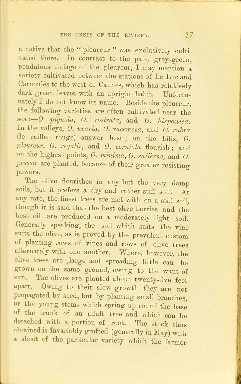 a native that the  pleureur  was exclusively culti- vated there. In contrast to the pale, grey-green, pendulous foliage of the pleureur, I may mention a variety cultivated between the stations of Le Luc and Carnoules to the west of Cannes, which has relatively dark green leaves with an upright habit. Unfortu- nately I do not know its name. Beside the pleureur, the following varieties are often cultivated near the sea:—0. pignola, 0. rostrata, and 0. Uspanica. In the valleys, 0. uvaria, 0. racemosa, and 0. rubra (le caillet rouge) answer best ; on the hills, 0. pleureur, 0. regalis, and 0. corniola flourish; and on the highest points, 0. minima, 0. saMerne, and 0. j)r(Bcox are planted, because of their greater resisting powers. The olive flourishes in any but the very damp soils, but it prefers a dry and rather stiff soil, ^t any rate, the finest trees are met with on a stiff soil, though it is said that the best olive berries and the best oil are produced on a moderately light soil. Generally speaking, the soil which suits the vine suits the olive, as is proved by the prevalent custom of planting rows of vines and rows of olive trees alternately with one another. Where, however, the olive trees are .large and spreading little can be grown on the same ground, owing to the want of sun. The olives are planted about twenty-five feet apart. Owing to their slow growth they are not propagated by seed, but by planting small branches, or the young stems which spring up round the base of the trunk of an adult tree and which can be detached with a portion of root. The stock thus obtained is fnvariably grafted (generally in May) with a shoot of the particular variety which the farmer