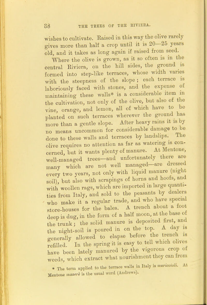 wishes to cultivate. Raised in this way the olive rarely gives more than half a crop until it is 20—25 years old, and it takes as long again if raised from seed. Where the olive is grown, as it so often is m the central Riviera, on the hill sides, the ground is formed into step-like terraces, whose width varies with the steepness of the slope ; each terrace is laboriously faced with stones, and the expense of maintaining these walls* is a considerable item m the cultivation, not only of the olive, but also of the vine, orange, and lemon, all of which have to be planted on such terraces wherever the ground has more than a gentle slope. After heavy rains it is by no means uncommon for considerable damage to be done to these walls and terraces by landslips. The olive requires no attention as far as watering is con- cerned, but it wants plenty of manure. At Mentone, well-managed trees-and unfortunately there are many which are not well managed-are dressed every two years, not only with liquid manure (night soil), but also with scrapings of horns and hoofs, and with woollen rags, which are imported m large quanti- ties from Italy, and sold to the peasants by dealers ' who make it a regular trade, and who have special store-houses for the bales. A trench about a foot deep is dug, in the form of a half moon, at the base of the trunk; the solid manure is deposited first, and the night-soil is poured in on the top A day is generally allowed to elapse before the trench is refilled In the spring it is easy to tell which olives have been lately manured by the vigorous crop of weeds, which extract what nourishment they can from * The term applied to the terrace waUs in Italy is muriccioli. At Mentone matere is the usual word (Andrews).