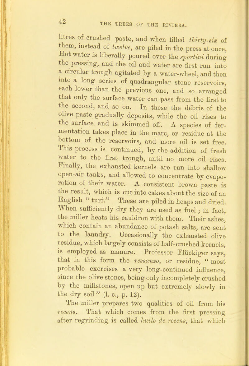 THE TREES OF THE RIVIEKA. litres of crushed paste, and when filled tJiirty-six of them, instead of twelve, are piled in the press at once, Hot water is liberally poured over the sportini during the pressing, and the oil and water are first run into a circular trough agitated by a water-wheel, and then into a long series of quadrangular stone reservoirs, each lower than the previous one, and so arranged that only the surface water can pass from the first to the second, and so on. In these the debris of the olive paste gradually deposits, while the oil rises to the surface and is skimmed off. A species of fer- mentation takes place in the marc, or residue at the bottom of the reservoirs, and more oil is set free. This process is continued, by the addition of fresh water to the first trough, until no more oil rises. Finally, the exhausted kernels are run into shallow open-air tanks, and allowed to concentrate by evapo- ration of their water. A consistent brown paste is the result, which is cut into cakes about the size of an English  turf.'' These are piled in heaps and dried. When sufficiently dry they are used as fuel; in fact, the miller heats his cauldron with them. Their ashes, which contain an abundance of potash salts, are sent to the laundry. Occasionally the exhausted olive residue, which largely consists of half-crushed kernels, is employed as manure. Professor Fliickiger says, that in this form the ressanzo, or residue,  most probable exercises a very long-continued influence, since the olive stones, being only incompletely crushed by the millstones, open up but extremely slowly in the dry soil (1. c, p. 12). The miller prepares two qualities of oil from his recens. That which comes from the first pressing after regrinding is called huile de recens, that which