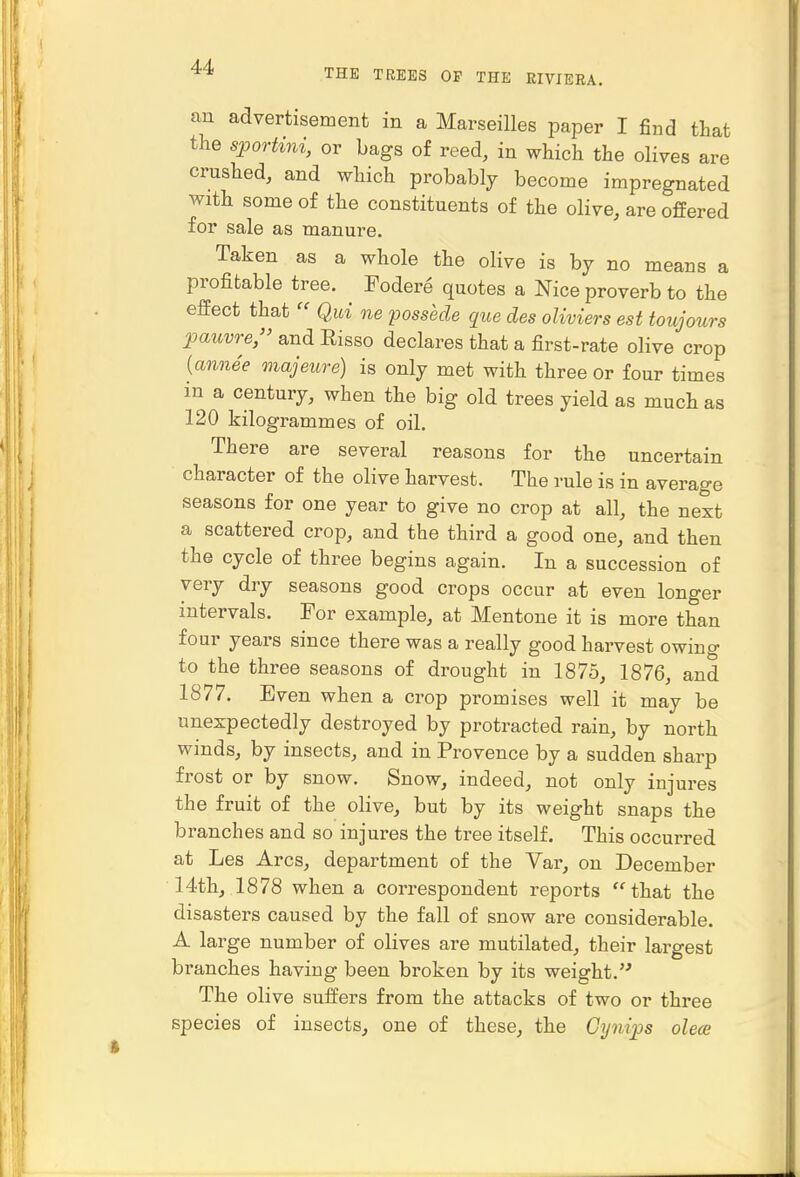 THE TREES OF THE RIVIERA. an advertisement in a Marseilles paper I find that the spoTtini, or bags of reed, in which the olives are crushed, and which probably become impregnated with some of the constituents of the olive, are offered for sale as manure. Taken as a whole the olive is by no means a profitable tree. Fodere quotes a Nice proverb to the effect that  Qui ne possede que des oliviers est toujours pauvre, and Risso declares that a first-rate olive crop {annee majeure) is only met with three or four times in a century, when the big old trees yield as much as 120 kilogrammes of oil. There are several reasons for the uncertain character of the olive harvest. The rule is in average seasons for one year to give no crop at all, the next a scattered crop, and the third a good one, and then the cycle of three begins again. In a succession of very dry seasons good crops occur at even longer intervals. For example, at Mentone it is more than four years since there was a really good harvest owing to the three seasons of drought in 1875, 1876, and 1877. Even when a crop promises well it may be unexpectedly destroyed by protracted rain, by north winds, by insects, and in Provence by a sudden sharp frost or by snow. Snow, indeed, not only injures the fruit of the olive, but by its weight snaps the branches and so injures the tree itself. This occurred at Les Arcs, department of the Var, on December 14th, 1878 when a correspondent reports that the disasters caused by the fall of snow are considerable. A large number of olives are mutilated, their largest branches having been broken by its weight. The olive suffers from the attacks of two or three species of insects, one of these, the Gynips olece