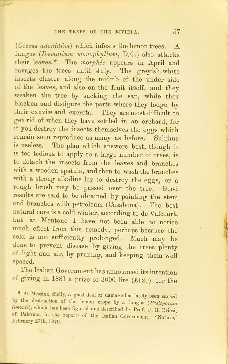 {Goccits adonidum) which infests the lemon trees. A fungus {Biematiiim monophyllum, D.O.) also attacks their leaves.* The morphee appears in April and ravages the trees until July. The greyish-white insects cluster along the midrib of the under side of the leaves, and also on the fruit itself, and they weaken the tree by sucking the sap, while they blacken and disfigure the parts where they lodge by their exuvia and excreta. They are most difficult to get rid of when they have settled in an orchard, for if you destroy the insects themselves the eggs which remain soon reproduce as many as before. Sulphur is useless. The plan which answers best, though it is too tedious to apply to a large number of trees, is to detach the insects from the leaves and branches with a wooden spatula, and then to wash the branches with a strong alkaline ley to destroy the eggs, or a rough brush may be passed over the tree. Good results are said to be obtained by painting the stem and branches with petroleum (Casabona). The best natural cure is a cold winter, according to de Valcourt, but at Mentone I have not been able to notice much effect from this remedy, perhaps because the cold is not sufficiently prolonged. Much may be done to prevent disease by giving the trees plenty of light and air, by pruning, and keeping them well spaced. The Italian Government has announced its intention of giving in 1881 a prize of 3000 lire (£120) for the » At Messina, Sicily, a good deal of damage has lately been caused by the destruction of the lemon crops by a fungus (Fusisporum limonii), which haa been figured and described by Prof. J. G. Briosi of Palermo, in the reports of the ItaUan Government. 'Nature' February 27th, 1879. '