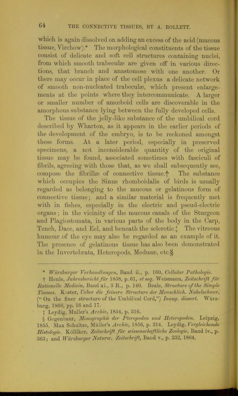 which is again dissolved on adding an excess of the acid (mucous tissue, Virchow) * The moii^hological constituents of the tissue consist of delicate and soft cell structures containing nuclei, from which smooth trabeculae are given off in various direc- tions, that branch and anastomose with one another. Or there may occur in place of the cell plexus a delicate network of smooth non-nucleated trabeculae, which present enlarge- ments at the ]3oints where they intercommunicate. A larger or smaller number of amoeboid cells are discoverable in the amorphous substance lying between the fully developed cells. The tissue of the jelly-like substance of the umbilical cord described by Wharton, as it appears in the earlier periods of the development of the embryo, is to be reckoned amongst these forms. At a later period, especially in preserved specimens, a not inconsiderable quantity of the original tissue may be found, associated sometimes with fasciculi of fibrils, agreeing with those that, as we shall subsequently see, compose the fibrillse of connective tissue.-f* The substance which occupies the Sinus rhomboidalis of birds is usually regarded as belonging to the mucous or gelatinous fonn of connective tissue; and a similar material is frequently met with in fishes, especially in the electric and pseud-electric organs; in the vicinity of the mucous canals of the Stui'geon and Plagiostomata, in various parts of the body in the Carp, Tench, Dace, and Eel, and beneath the sclerotic.^ The vitreous humour of the eye may also be regarded as an example of it. The presence of gelatinous tissue has also been demonstrated in the Invertebrata, Heteropods, Medusae, etc.§ * Wiirzhm'ger Verliandlungen, Band ii., p. 160, Cellular Pathologie. f Henle, Jahreshcricht fiir 1858, p. 61, et seq. Weismann, Zeitschrift fiir Rationelle lledicin, Bandxi., 3 E,., p. 140. Beale, Structure of the Simj)le Tissues. Koster, Ueher die feinere Structure der Menschlich. Nabclschnur, ( On the finer structure of the Umbilical Cord,) Inaug. dissert. Wiirz- burg, 1868, pp. 16 and 17. X Leydig, Muller's Archiv, 1854, p, 316. § Gcgenbaur, Ilonograjihte der Pterojmden uinl Heteropodcn. Leipzig, 1855. Max Schultze, Muller's Archiv, 1856, p. 314. Leydig, Verglcichende Histologic. Kolliker, Zeitschrift fUr wissenschaftliche Zoologic, Band iv., p. 363; and Wiirzhurger Naturw. Zeitschrift, Baud v., p. 232, 1864.