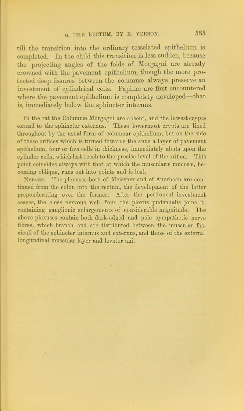 till the transition into the ordinary tesselated epithelium is completed. In the child this transition is less sudden, because the projecting angles of the folds of Morgagni are already crowned vnth. the pavement epithelium, though the more pro- tected deep fissures between the columnte always preserve an investment of cylindrical cells. PapillfB are first encountered where the pavement epithelium is completely developed—that is, immediately below the splnncter internus. In the rat the Columnfe Morgagni are absent, and the lowest crypts extend to the sphincter externus. These lowermost crypts are fined thi'oughont by the usual form of columnar epithelium, but on the side of these orifices which is turned towards the anus a layer of pavement epitheHum, four or five cells in thickness, immediately abuts upon the cylinder cells, which last reach to the precise level of the orifice. This point coincides always with that at which the muscularis mucosae, be- coming obHque, runs out into points and is lost. Ner\-es.—The plexuses both of Meissner and of Auerbach are con- tinued from the colon into the rectum, the development of the latter preponderating over the former. After the peritoneal investment ceases, the close nervous web from the plexus pudendalis joins it, containing ganghonic enlargements of considerable magnitude. The above plexuses contain both dark-edged and pale sympathetic nerve fibres, which branch and are distributed between the muscular fas- cicuU of the sphincter internus and externus, and those of the external longitudinal muscular layer and levator ani.
