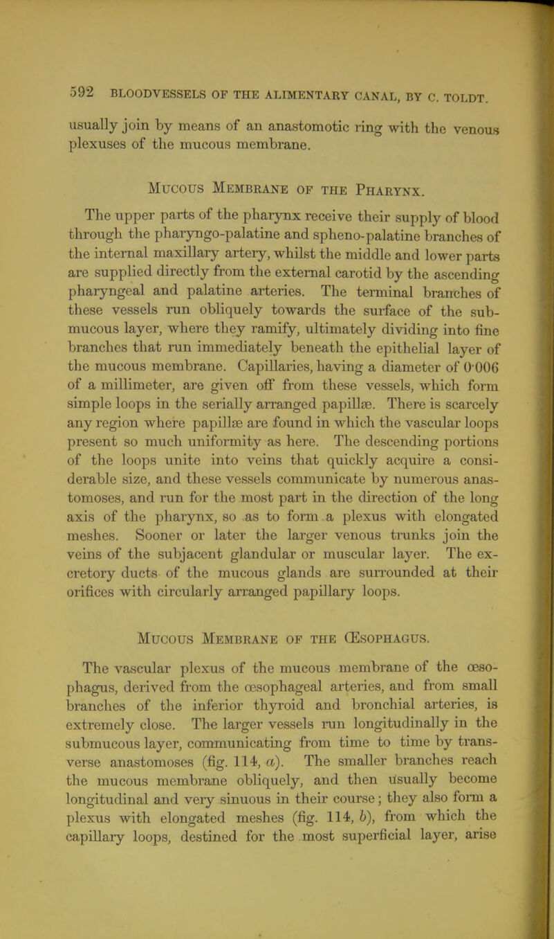 usually join by means of an anastomotic ring with the venous plexuses of the mucous membrane. Mucous Membrane of the Pharynx. The upper parts of the pharynx receive their supply of blood through the pharyngo-palatine and spheno-palatine branches of the internal maxillary artery, whilst the middle and lower parte are supplied directly from the external carotid by the ascending pharyngeal and palatine arteries. The terminal branches of these vessels run obliquely towards the surface of the sub- mucous layer, where they ramify, ultimately dividing into fine branches that run immediately beneath the epithelial layer of the mucous membrane. Capillaries, having a diameter of 0 006 of a millimeter, are given off from these vessels, which form simple loops in the serially arranged papillae. There is scarcely any region where papillae are found in which the vascular loops present so much uniformity as here. The descending portions of the loops unite into veins that quickly acquire a consi- derable size, and these vessels communicate by numerous anas- tomoses, and run for the most part in the direction of the long axis of the pharynx, so as to form a plexus with elongated meshes. Sooner or later the larger venous tininks join the veins of the subjacent glandular or muscular layer. The ex- cretory ducts of the mucous glands are surrounded at their orifices with circularly arranged papillary loops. Mucous Membrane of the (Esophagus. The vascular plexus of the mucous membrane of the oeso- phagus, derived from the oesophageal arteries, and from small branches of the inferior thyroid and bronchial arteries, is extremely close. The larger vessels run longitudinally in the submucous layer, communicating from time to time by trans- verse anastomoses (fig. 114, a). The smaller branches reach the mucous membrane obliquely, and then ilsually become longitudinal and very sinuous in their course; they also form a plexus with elongated meshes (fig. 114, b), from which the capillary loops, destined for the most superficial layer, arise