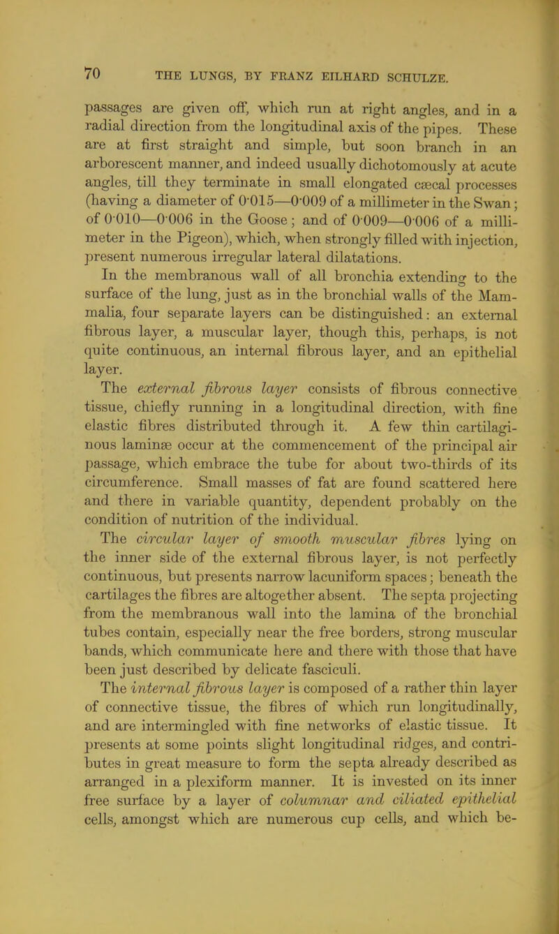 passages are given off, which run at right angles, and in a radial direction from the longitudinal axis of the pipes. These are at first straight and simple, but soon branch in an arborescent manner, and indeed usually dichotomously at acute angles, till they terminate in small elongated caecal processes (having a diameter of 0'015—0'009 of a millimeter in the Swan; of 0 010—0 006 in the Goose; and of 0 009—0 006 of a milli- meter in the Pigeon), which, when strongly filled with injection, present numerous irregular lateral dilatations. In the membranous wall of all bronchia extending to the surface ol the lung, just as in the bronchial walls of the Mam- malia, four separate layers can be distinguished: an external fibrous layer, a muscular layer, though this, perhaps, is not quite continuous, an internal fibrous layer, and an epithelial layer. The external fibrous layer consists of fibrous connective tissue, chiefly running in a longitudinal direction, with fine elastic fibres distributed through it. A few thin cartila<n- nous laminse occur at the commencement of the principal air passage, which embrace the tube for about two-thirds of its circumference. Small masses of fat are found scattered here and there in variable quantity, dependent probably on the condition of nutrition of the individual. The circular layer of smooth muscular fibres lying on the inner side of the external fibrous layer, is not perfectly continuous, but presents narrow lacuniform spaces; beneath the cartilages the fibres are altogether absent. The septa projecting from the membranous wall into the lamina of the bronchial tubes contain, especially near the free borders, strong muscular bands, which communicate here and there with those that have been just described by delicate fasciculi. The internal fibrous layer is composed of a rather thin layer of connective tissue, the fibres of which run longitudinally, and are intermingled with fine networks of elastic tissue. It presents at some points slight longitudinal ridges, and contri- butes in great measure to form the septa already described as arranged in a plexiform manner. It is invested on its inner free surface by a layer of columnar and ciliated epithelial cells, amongst which are numerous cup cells, and which be-
