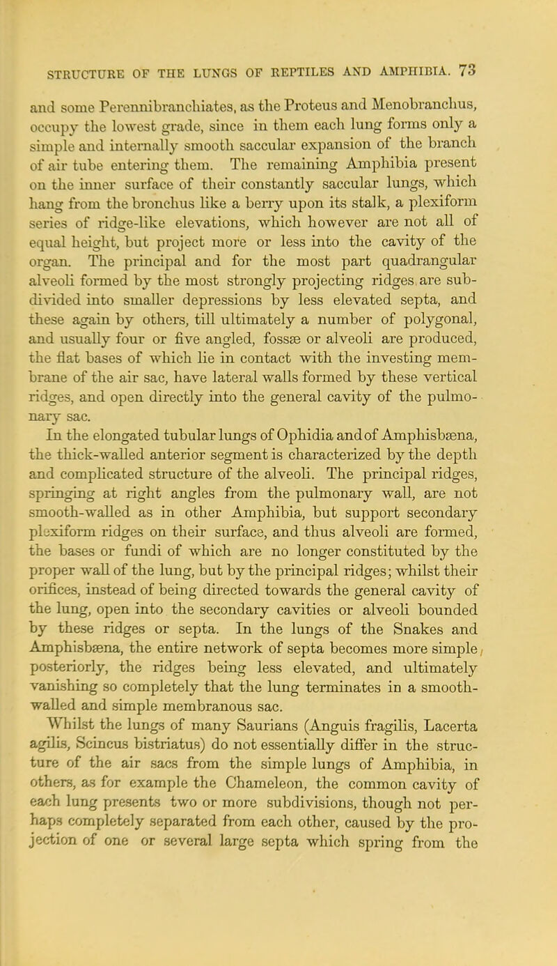and some Perennibranchiates, as the Proteus and Menobranclius, occupy the lowest grade, since in them each lung forms only a simple and internally smooth saccular expansion of the branch of air tube entering them. The remaining Amphibia present on the inner surface of their constantly saccular lungs, which hang from the bronchus like a berry upon its stalk, a plexiform series of ridge-like elevations, which however are not all of equal height, but project more or less into the cavity of the organ. The principal and for the most part quadrangular alveoli formed by the most strongly projecting ridges are sub- divided into smaller depressions by less elevated septa, and these again by others, till ultimately a number of polygonal, and usually four or five angled, fossse or alveoli are produced, the flat bases of which lie in contact with the investing mem- brane of the air sac, have lateral walls formed by these vertical ridges, and open directly into the general cavity of the pulmo- nary sac. In the elongated tubular lungs of Ophidia and of Amphisbsena, the thick-walled anterior segment is characterized by the depth and complicated structure of the alveoli. The principal ridges, springing at right angles from the pulmonary wall, are not smooth-walled as in other Amphibia, but support secondary pluxiform ridges on their surface, and thus alveoli are formed, the bases or fundi of which are no longer constituted by the proper wall of the lung, but by the principal ridges; whilst their orifices, instead of being directed towards the general cavity of the lung, open into the secondary cavities or alveoli bounded by these ridges or septa. In the lungs of the Snakes and Amphisbsena, the entire network of septa becomes more simple posteriorly, the ridges being less elevated, and ultimately vanishing so completely that the lung terminates in a smooth- walled and simple membranous sac. Whilst the lungs of many Saurians (Anguis fragilis, Lacerta agiJis, Scincus bistriatus) do not essentially differ in the struc- ture of the air sacs from the simple lungs of Amphibia, in others, as for example the Chameleon, the common cavity of each lung presents two or more subdivisions, though not per- haps completely separated from each other, caused by the pro- jection of one or several large septa which spring from the