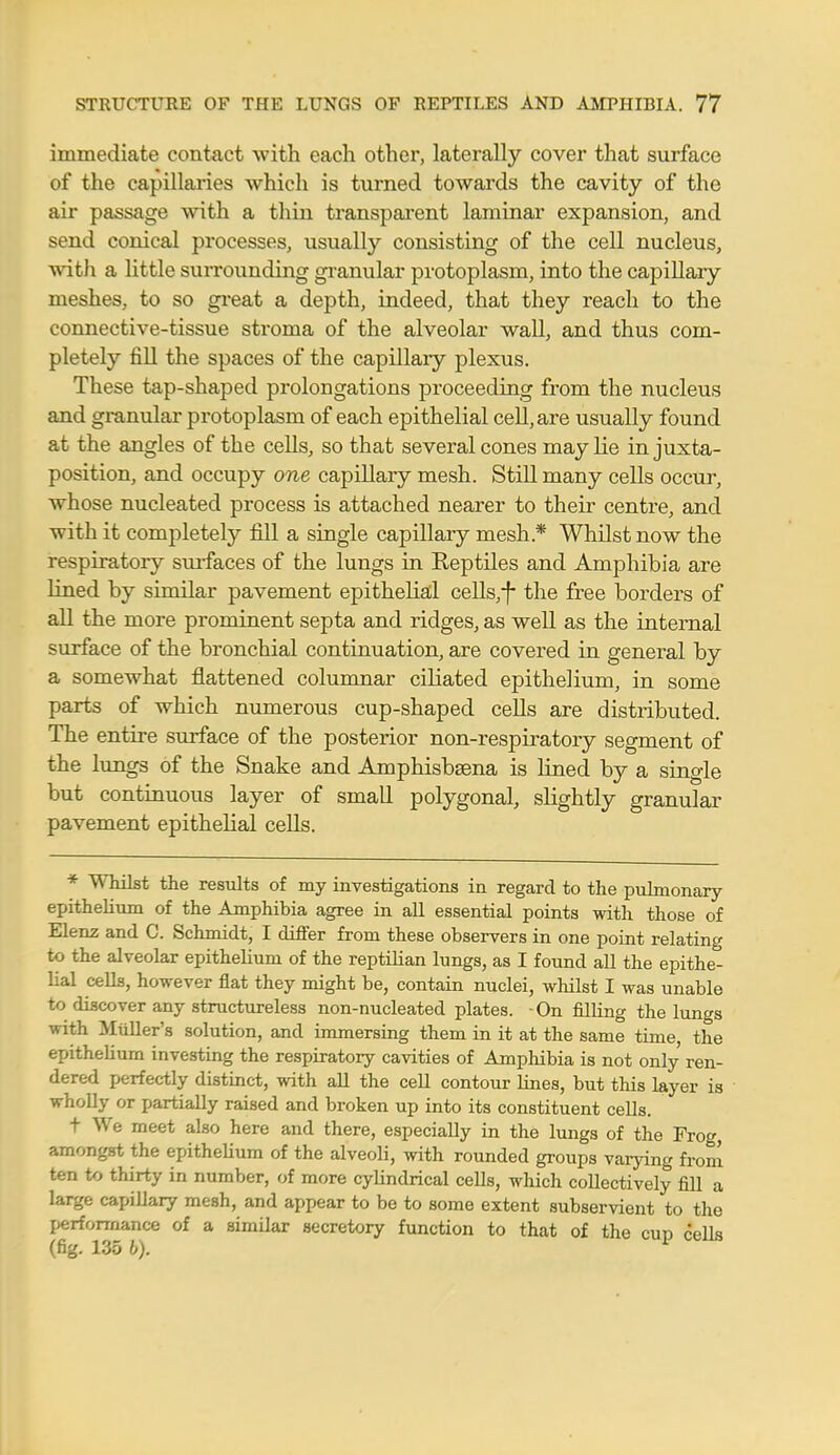 immediate contact with each other, laterally cover that surface of the capillaries which is turned towards the cavity of the air passage with a thin transparent laminar expansion, and send conical processes, usually consisting of the cell nucleus, with a little surrounding granular protoplasm, into the capillary meshes, to so great a depth, indeed, that they reach to the connective-tissue stroma of the alveolar wall, and thus com- pletely fill the spaces of the capillary plexus. These tap-shaped prolongations proceeding from the nucleus and granular protoplasm of each epithelial cell, are usually found at the angles of the cells, so that several cones may lie in juxta- position, and occupy one capillary mesh. Still many cells occur, whose nucleated process is attached nearer to their centre, and with it completely fill a single capillary mesh* Whilst now the respiratory surfaces of the lungs in Keptiles and Amphibia are lined by similar pavement epithelial cells,-f the free borders of all the more prominent septa and ridges, as well as the internal surface of the bronchial continuation, are covered in general by a somewhat flattened columnar ciliated epithelium, in some parts of which numerous cup-shaped cells are distributed. The entire surface of the posterior non-respiratory segment of the lungs of the Snake and Amphisbasna is lined by a single but continuous layer of small polygonal, slightly granular pavement epithelial cells. * Whilst the results of my investigations in regard to the pulmonary- epithelium of the Amphibia agree in all essential points with those of Elenz and C. Schmidt, I differ from these observers in one point relating to the alveolar epithelium of the reptilian lungs, as I found all the epithe- lial cells, however flat they might be, contain nuclei, whilst I was unable to discover any structureless non-nucleated plates. On filling the lungs with Miiller's solution, and immersing them in it at the same time, the epithelium investing the respiratory cavities of Amphibia is not only ren- dered perfectly distinct, with all the cell contour lines, but this layer is wholly or partially raised and broken up into its constituent cells. t We meet also here and there, especially in the lungs of the Frog, amongst the epithelium of the alveoli, with rounded groups varying from ten to thirty in number, of more cylindrical cells, which collectively fill a large capillary mesh, and appear to be to some extent subservient to the performance of a similar secretory function to that of the cup cells (fig. 135 b).