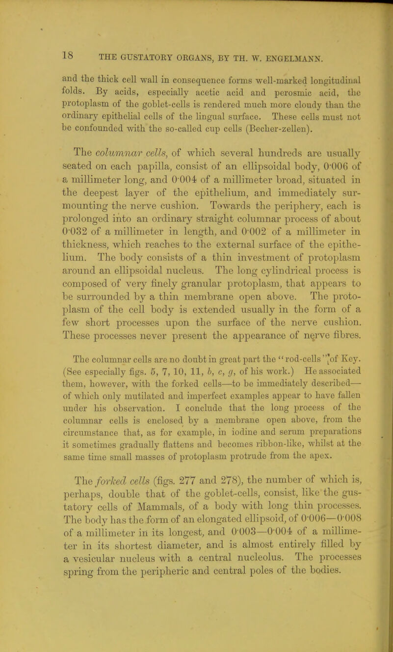 unci the thick cell wall in consequence forms well-marked longitudinal folds. By acids, especially acetic acid and perosmic acid, the protoplasm of the gohlet-cells is rendered much more cloudy than the ordinary epithelial cells of the lingual surface. These cells must not be confounded with the so-called cup cells (Becher-zellen). The columnar cells, of which several hundreds are usually seated on each papilla, consist of an ellipsoidal body, 0*006 of a millimeter long, and 0 004 of a millimeter broad, situated in the deepest layer of the epithelium, and immediately sur- mounting the nerve cushion. Towards the periphery, each is prolonged into an ordinary straight columnar process of about 0 032 of a millimeter in length, and 0 002 of a millimeter in thickness, which reaches to the external surface of the epithe- lium. The body consists of a thin investment of protoplasm around an ellipsoidal nucleus. The long cylindrical process is composed of veiy finely granular protoplasm, that appears to be surrounded by a thin membrane open above. The proto- plasm of the cell body is extended usually in the form of a few short processes upon the surface of the nerve cushion. These processes never present the appearance of nerve fibres. The columnar cells are no doubt in great part the rod-cells *of Key. (See especially figs. 5, 7, 10, 11, b, c, tj, of his work.) He associated them, however, with the forked cells—to be immediately described— of which only mutilated and imperfect examples appear to have fallen under his observation. I conclude that the long process of the columnar cells is enclosed by a membrane open above, from the circumstance that, as for example, in iodine and serum preparations it sometimes gradually flattens and becomes ribbon-like, whilst at the same time small masses of protoplasm protrude from the apex. The forked cells (figs. 277 and 278), the number of which is, perhaps, double that of the goblet-cells, consist, like the gus- tatory cells of Mammals, of a body with long thin processes. The body has the form of an elongated ellipsoid, of 0-006—0 008 of a millimeter in its longest, and 0 003—0 004 of a millime- ter in its shortest diameter, and is almost entirely filled by a vesicular nucleus with a central nucleolus. The processes spring from the peripheric and central poles of the bodies.